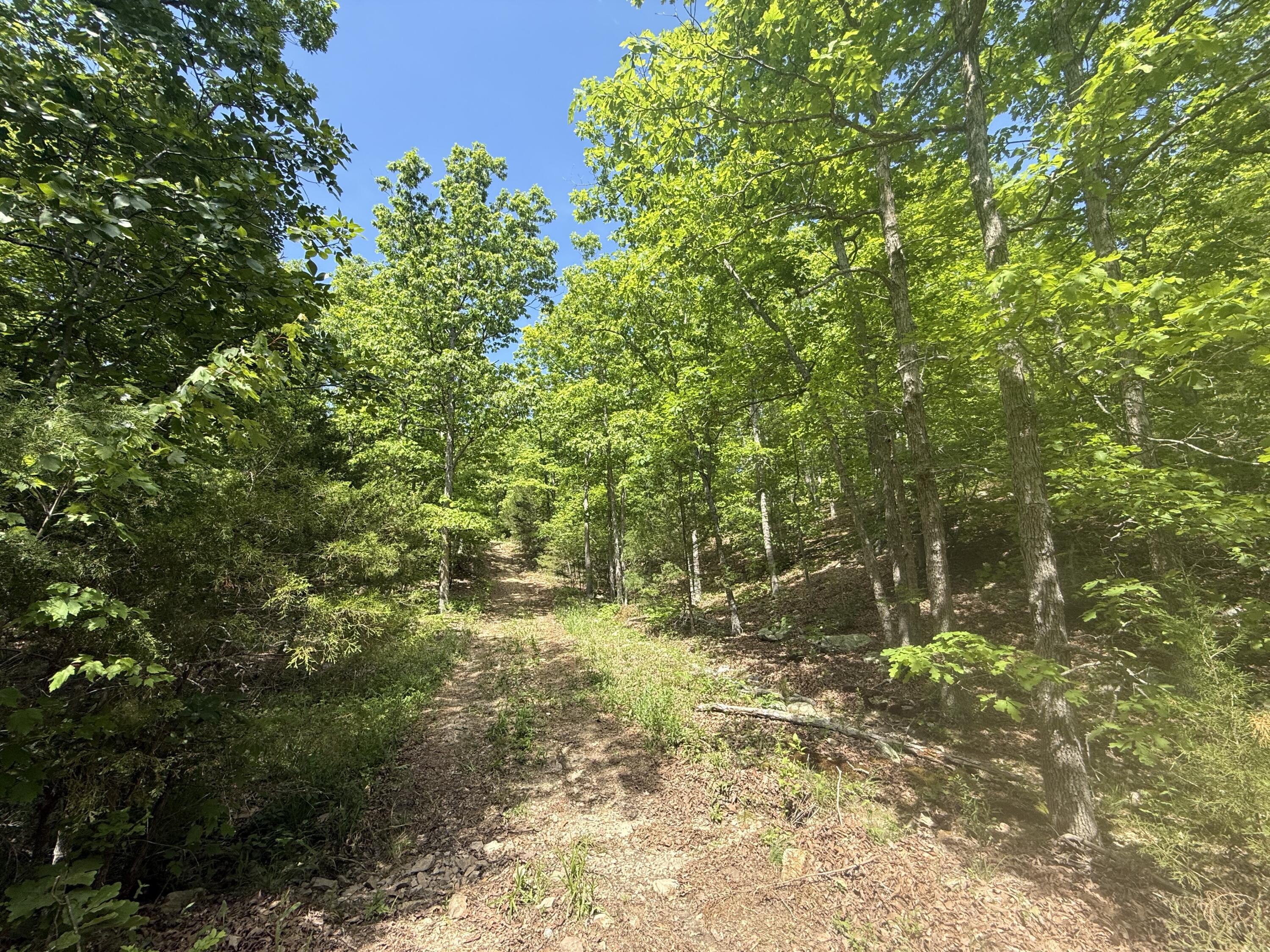 Photo 19 - Land for sale – 000  Bailey Road  Licking, MO