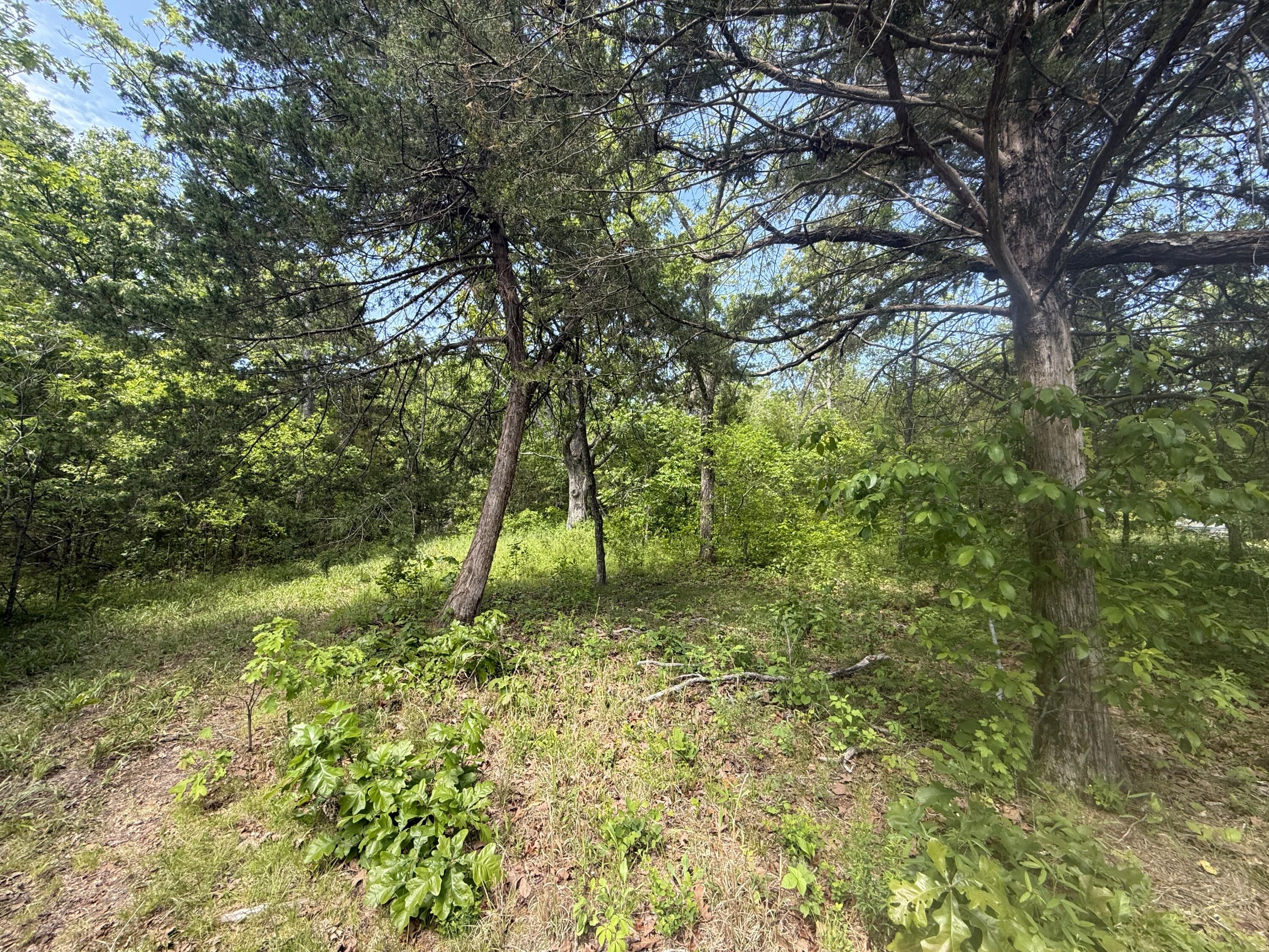 Photo 32 - Land for sale – 000  Bailey Road  Licking, MO