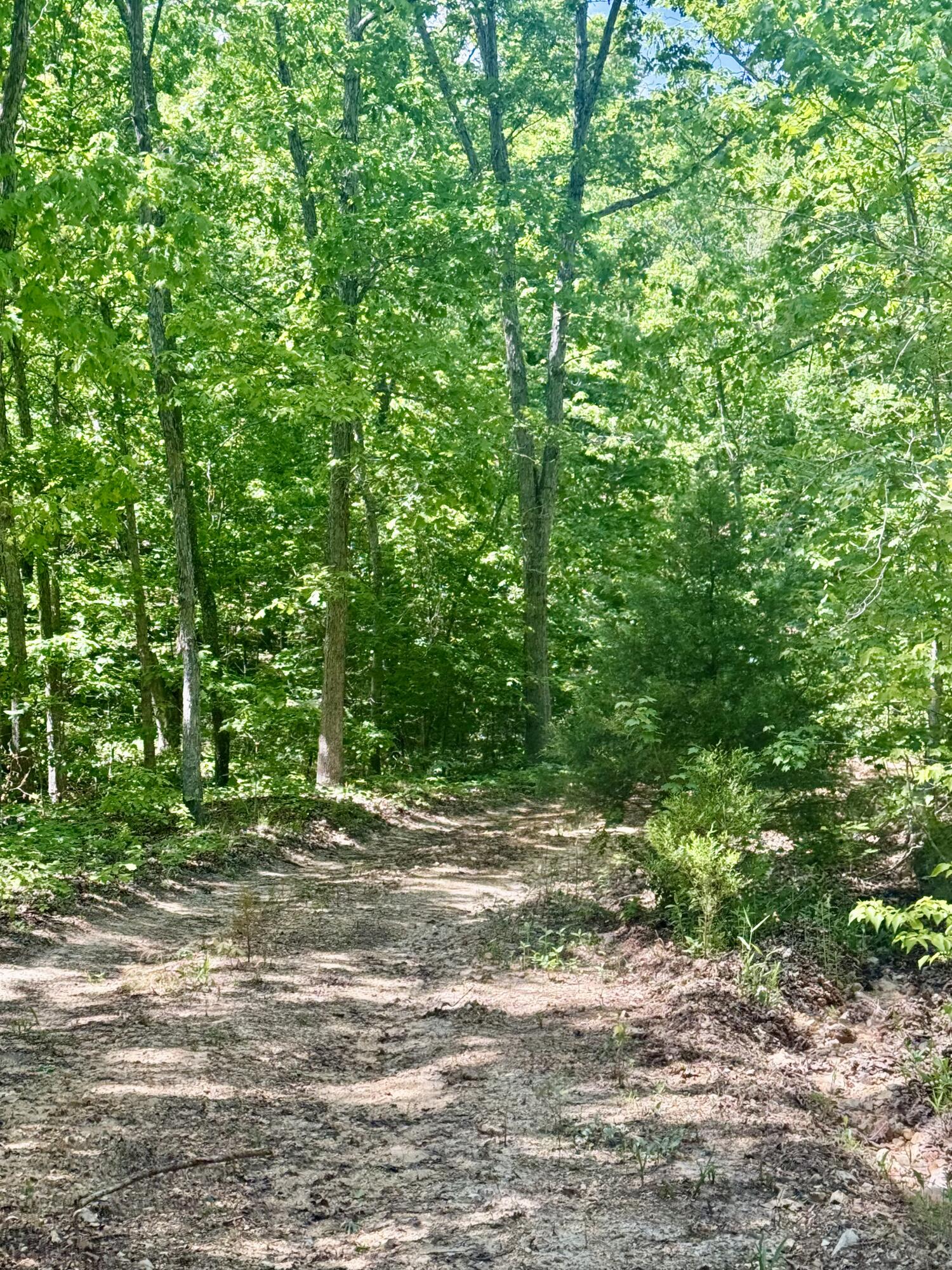 Photo 25 - Land for sale – 000  Bailey Road  Licking, MO