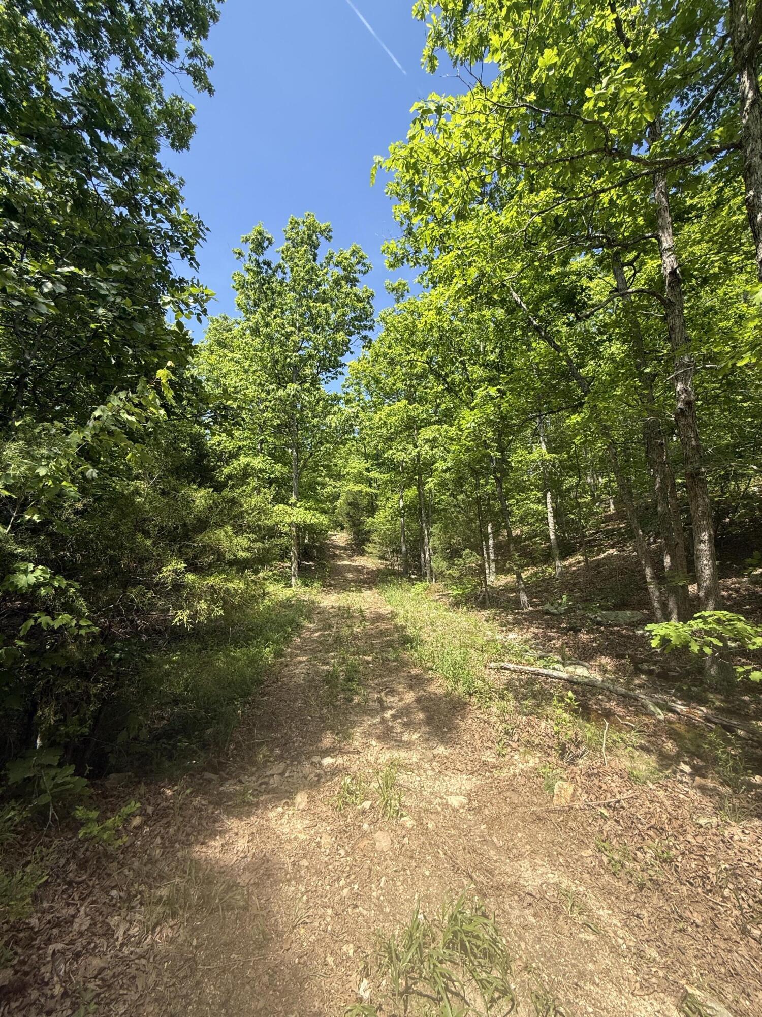 Photo 16 - Land for sale – 000  Bailey Road  Licking, MO