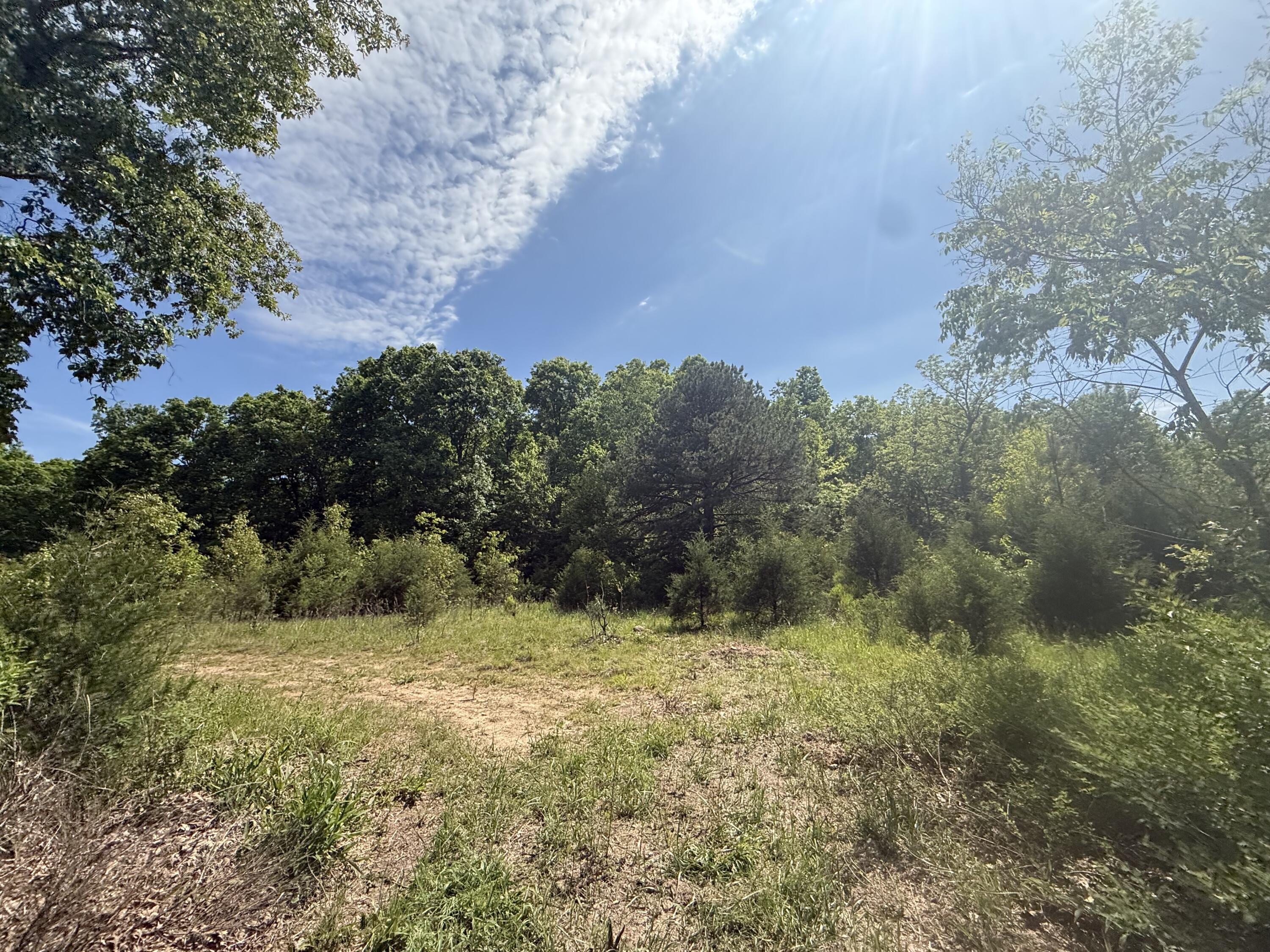 Photo 3 - Land for sale – 000  Bailey Road  Licking, MO