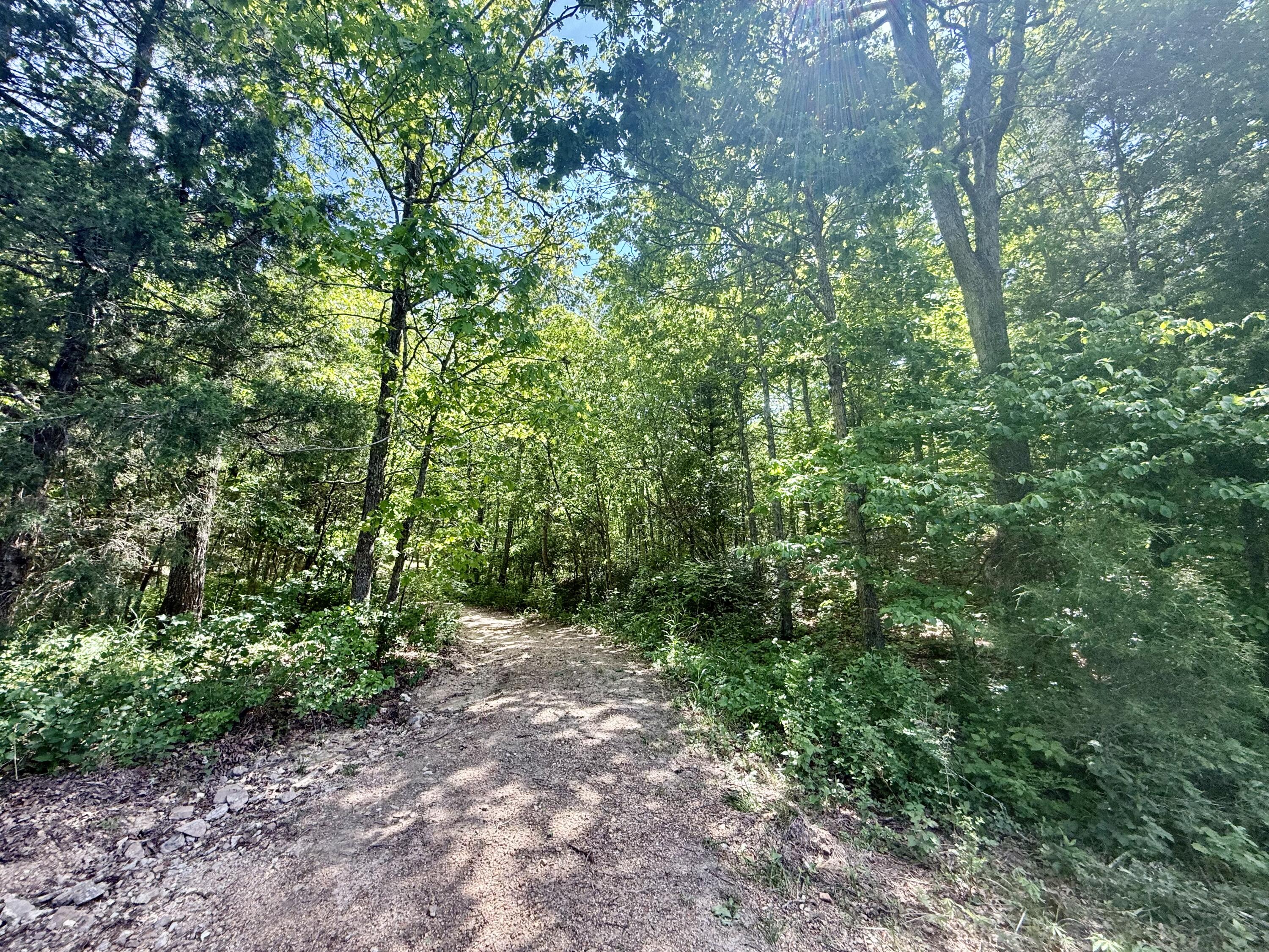 Photo 2 - Land for sale – 000  Bailey Road  Licking, MO