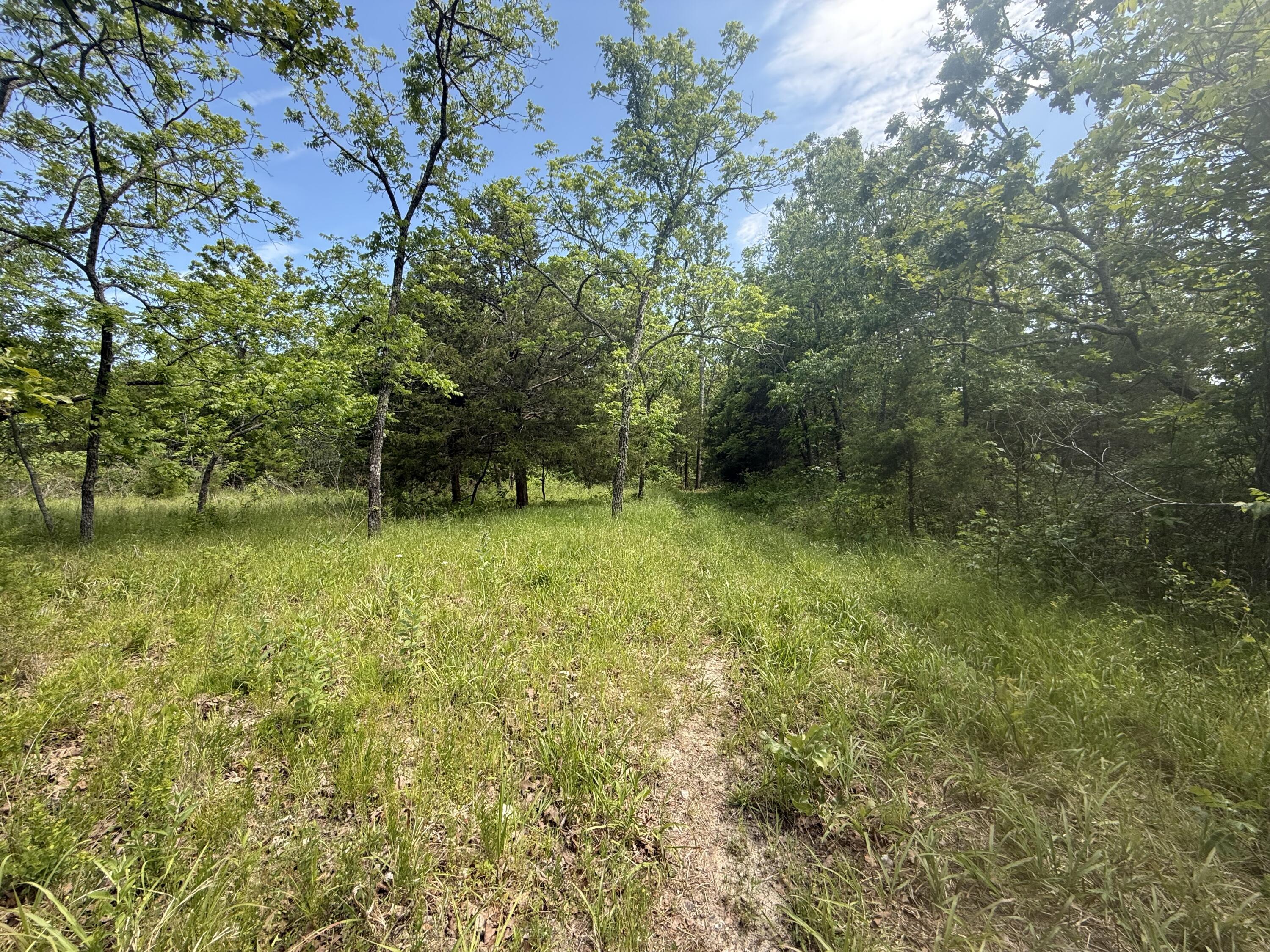 Photo 30 - Land for sale – 000  Bailey Road  Licking, MO