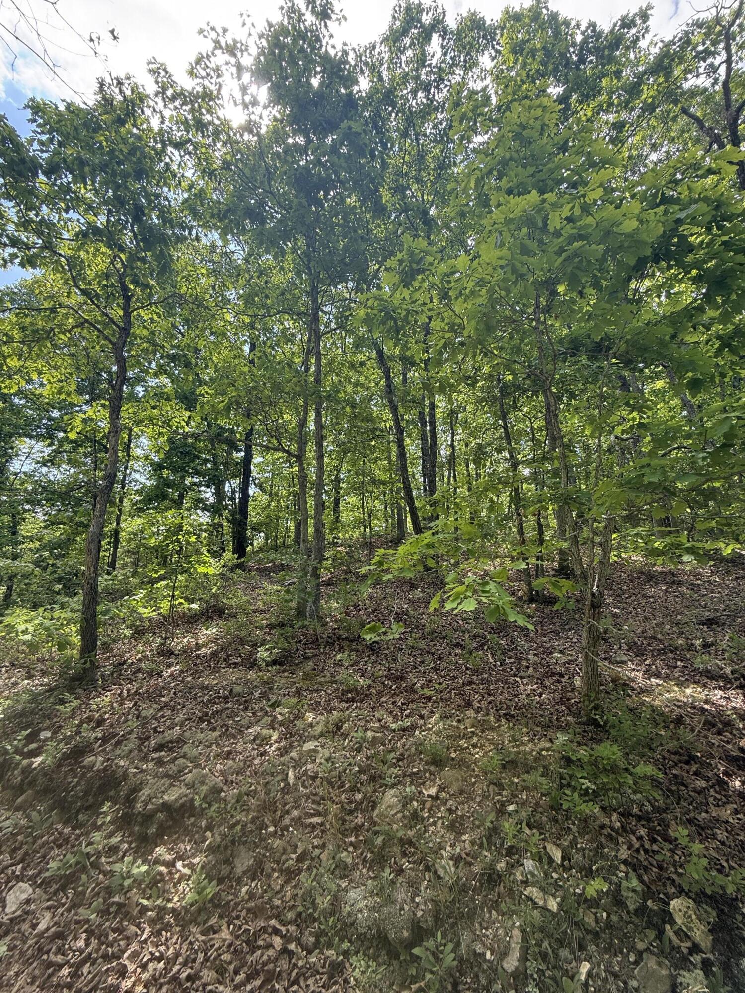 Photo 17 - Land for sale – 000  Bailey Road  Licking, MO