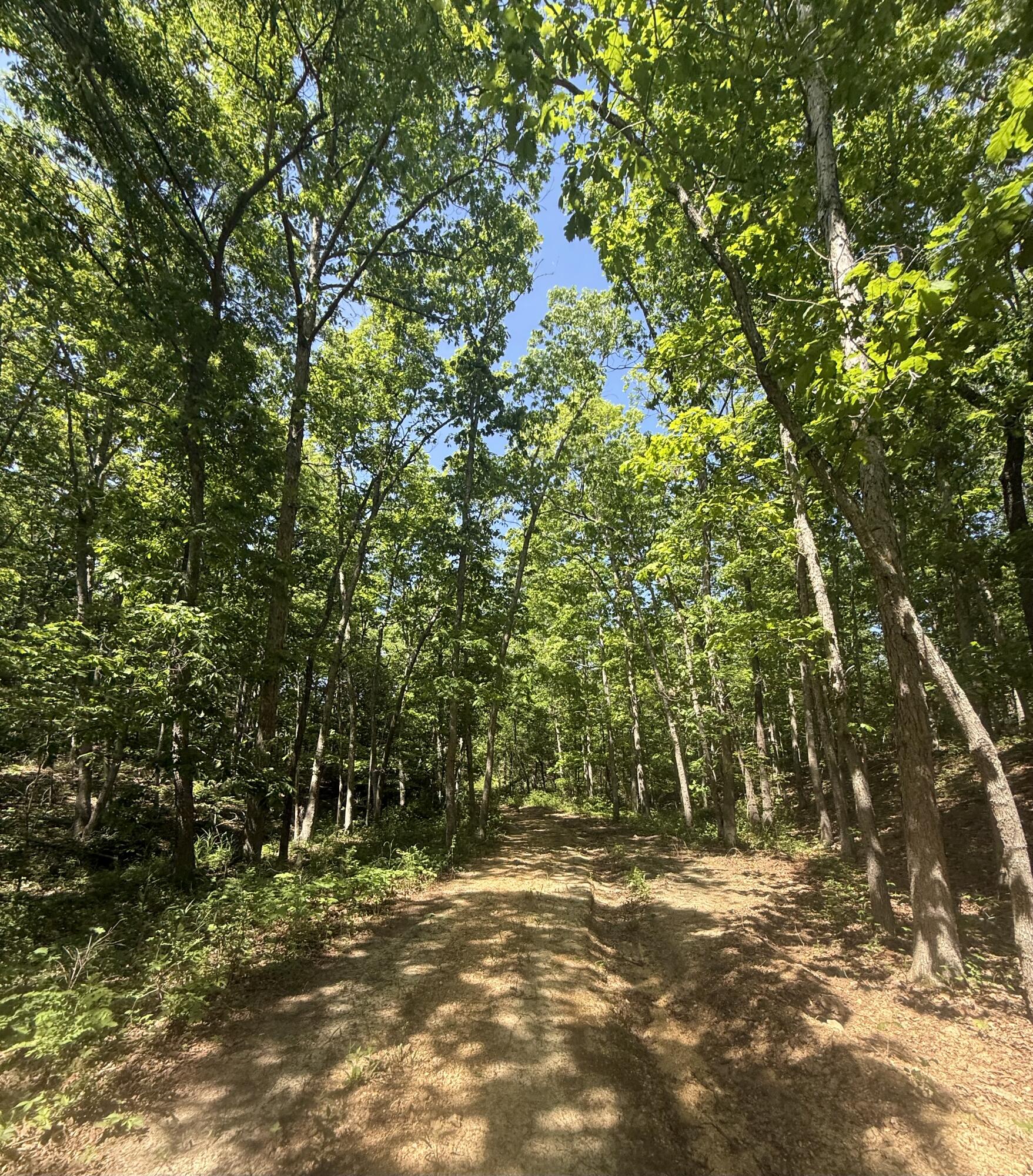 Photo 27 - Land for sale – 000  Bailey Road  Licking, MO