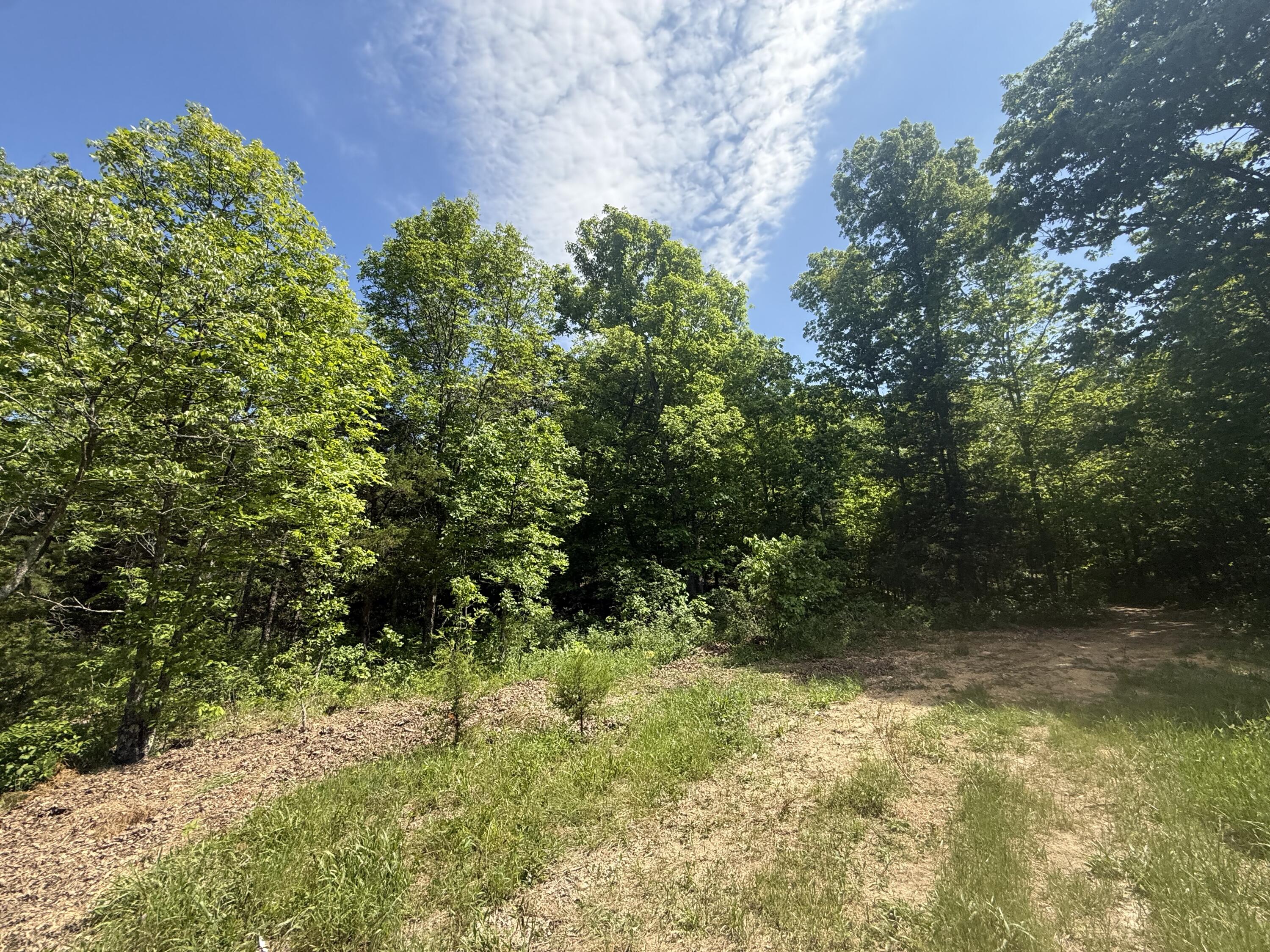 Photo 12 - Land for sale – 000  Bailey Road  Licking, MO