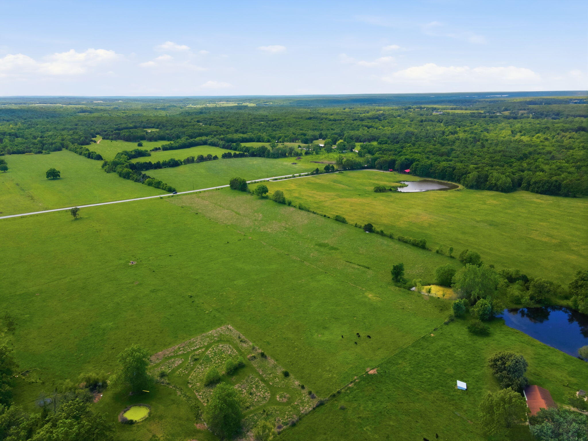 Photo 4 - Land for sale – 000 S Highway M   Dunnegan, MO