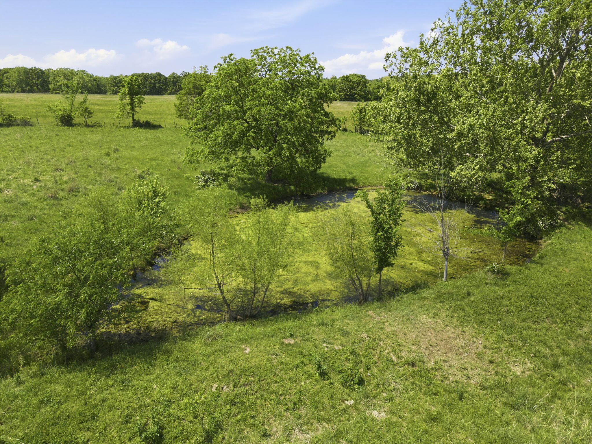 Photo 8 - Land for sale – 000 S Highway M   Dunnegan, MO