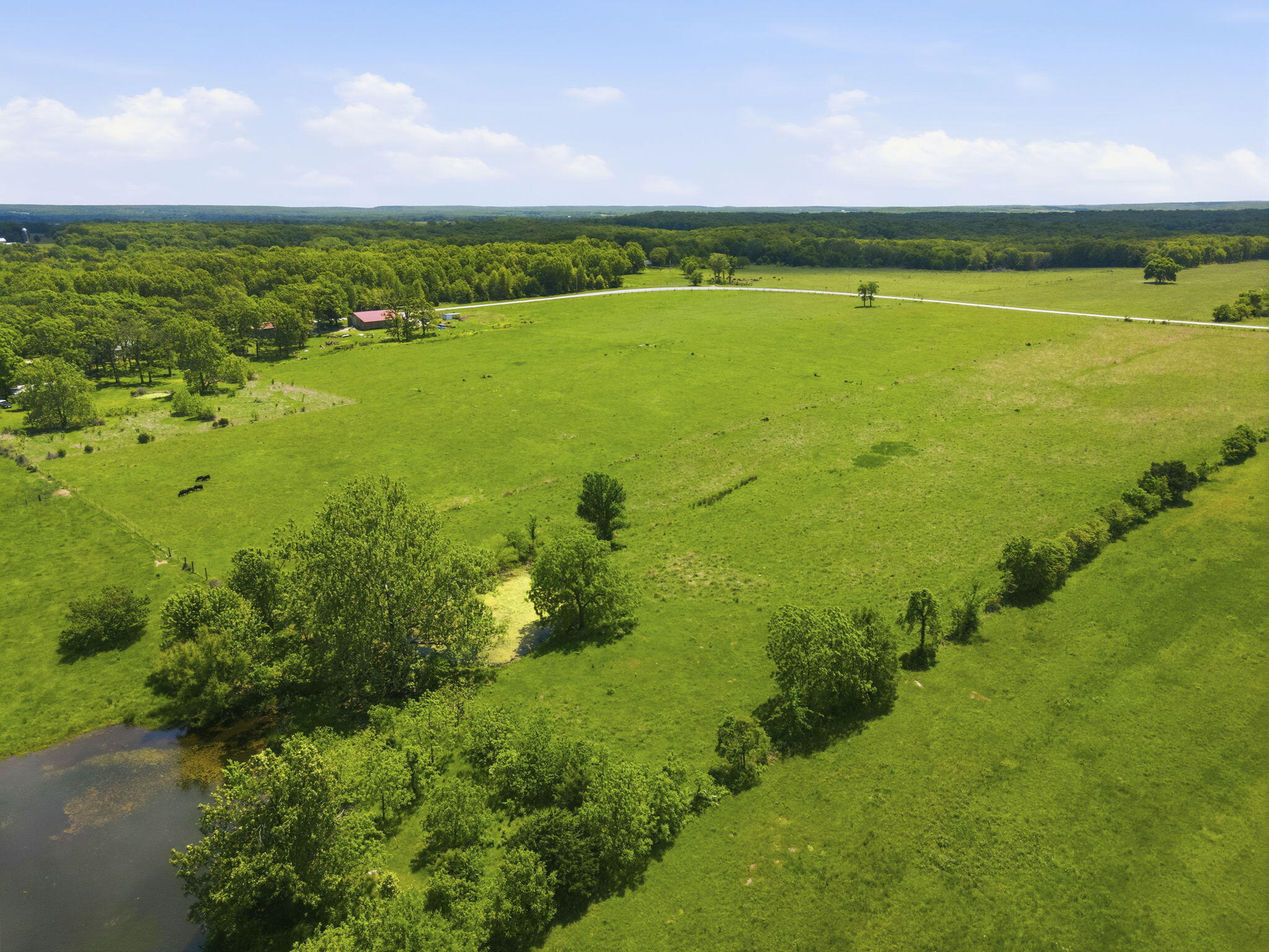 Photo 7 - Land for sale – 000 S Highway M   Dunnegan, MO