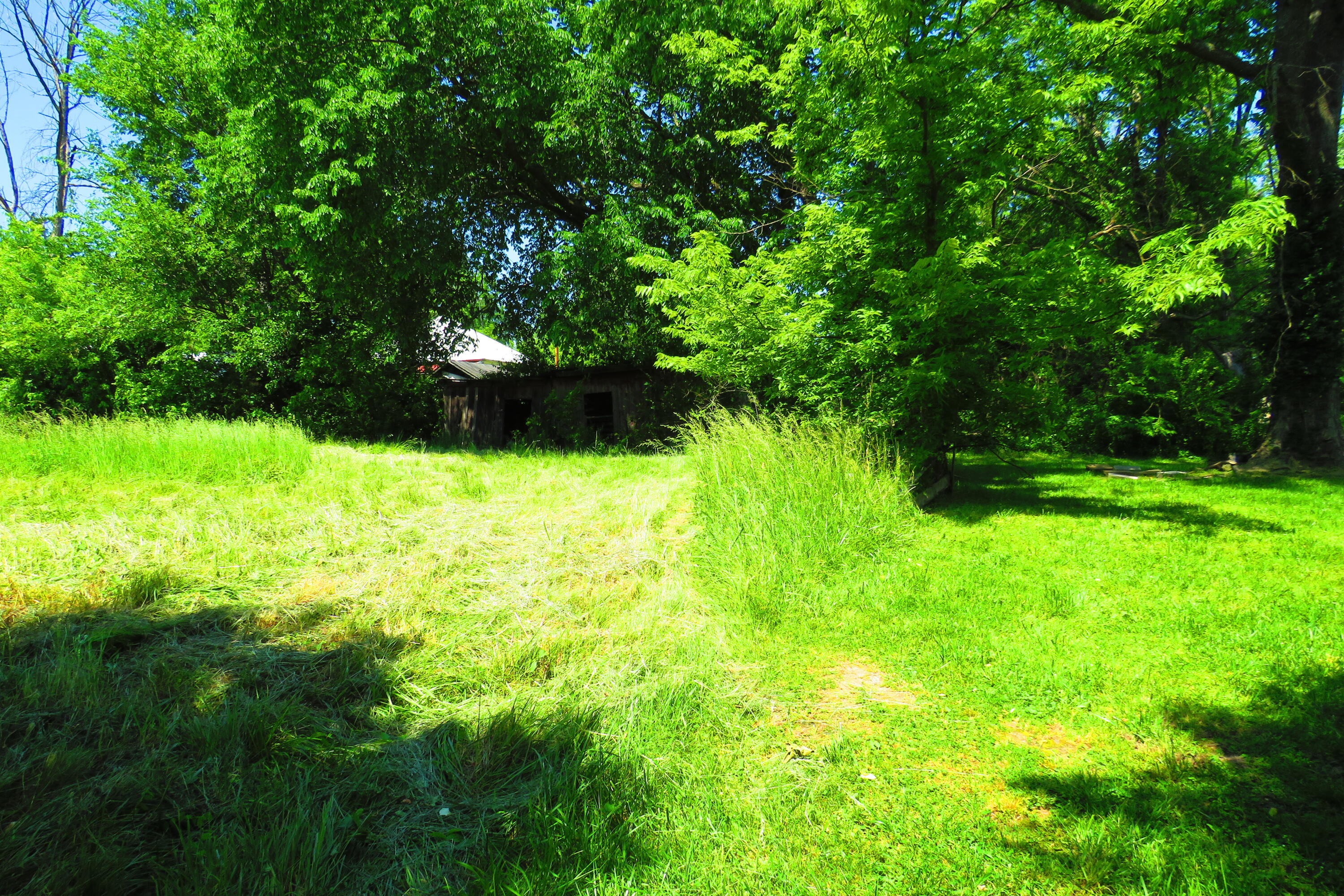 Photo 8 - Residential for sale – 503 N Nettleton Avenue  Mansfield, MO
