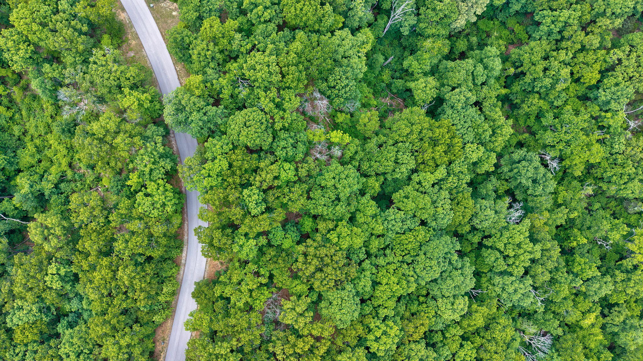 Photo 12 - Land for sale – 000  Nottingham Court  Saddlebrooke, MO