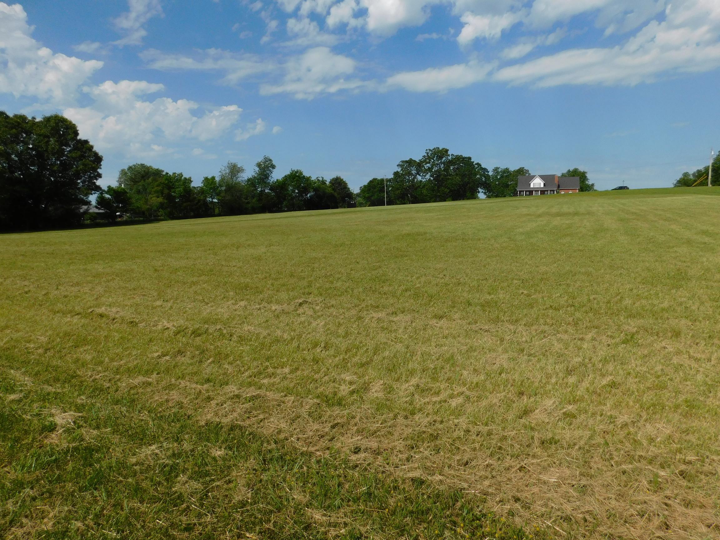 Photo 3 - Land for sale – Lot 8  Lawrence 1104   Monett, MO