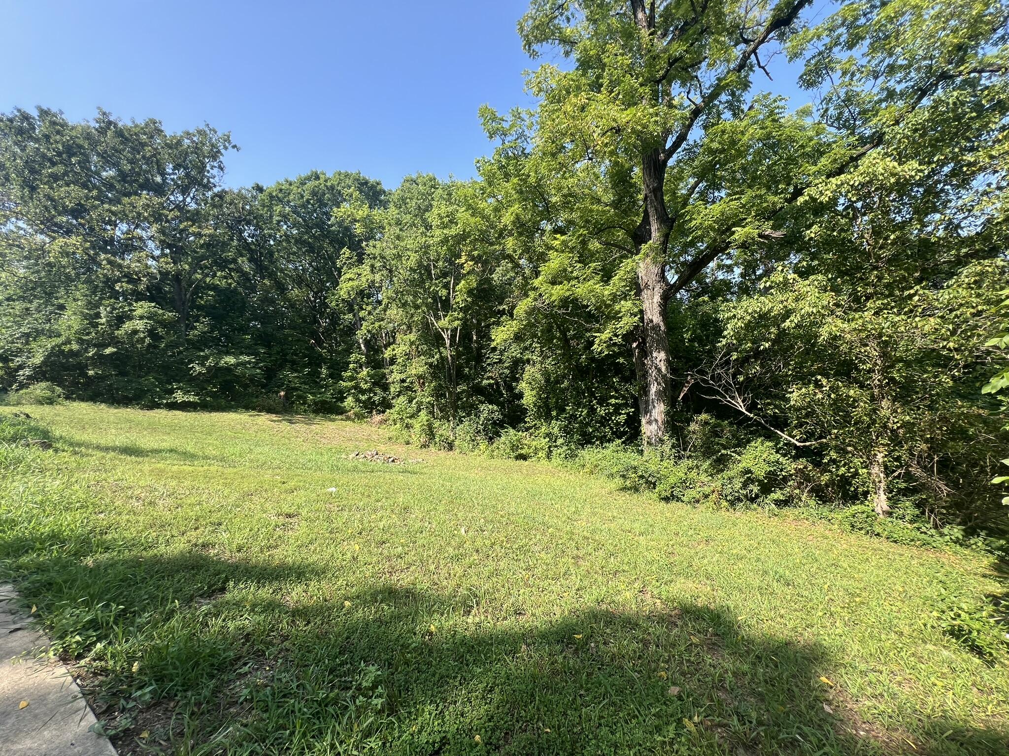 Photo 6 - Land for sale – 505 S Aid Avenue  West Plains, MO
