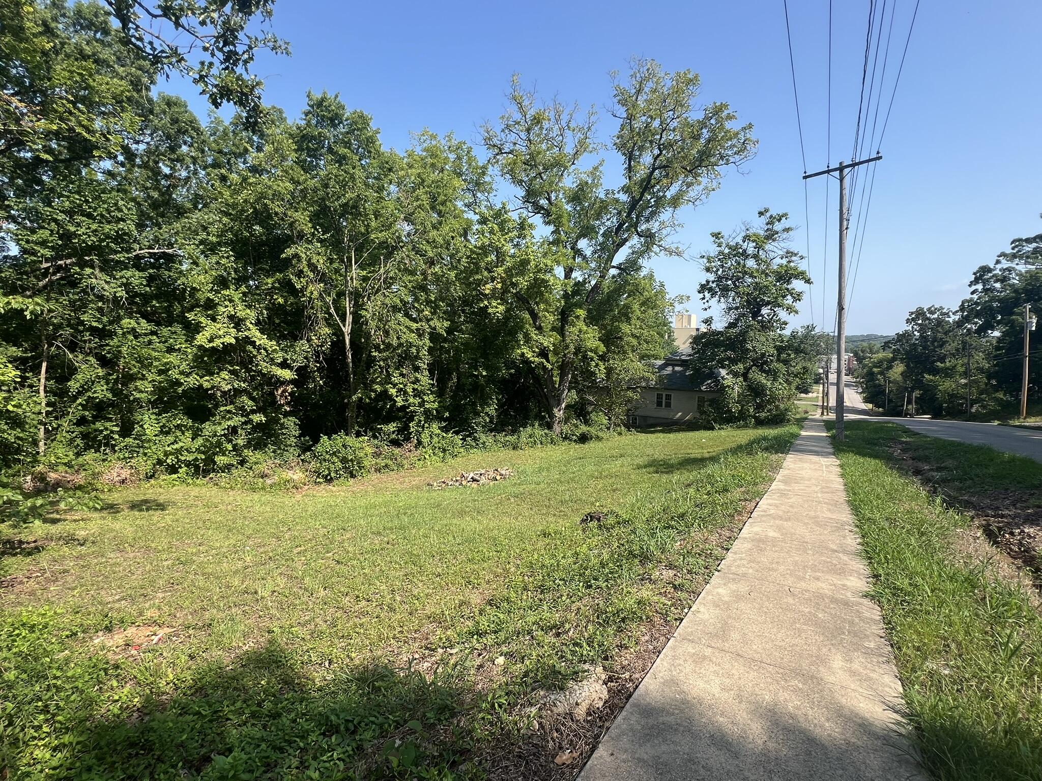 Photo 2 - Land for sale – 505 S Aid Avenue  West Plains, MO