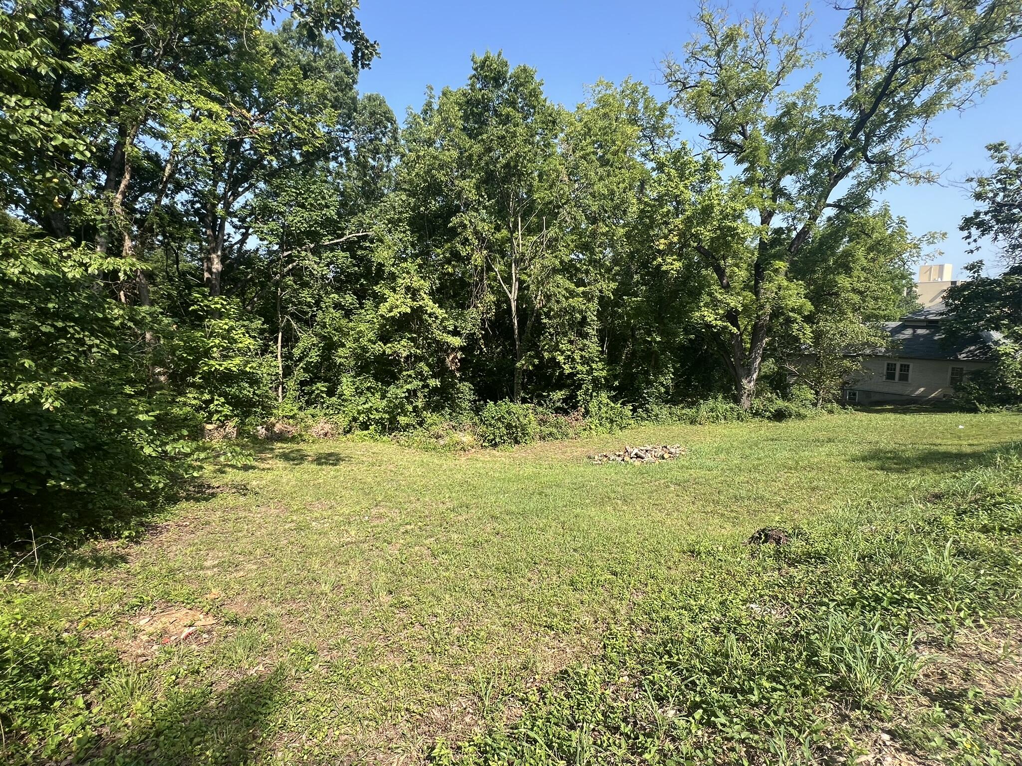 Photo 3 - Land for sale – 505 S Aid Avenue  West Plains, MO