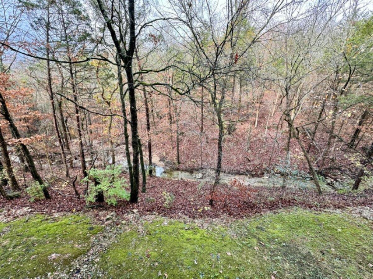 Photo 49 - Residential for sale – 525  Valley View Road  Branson, MO