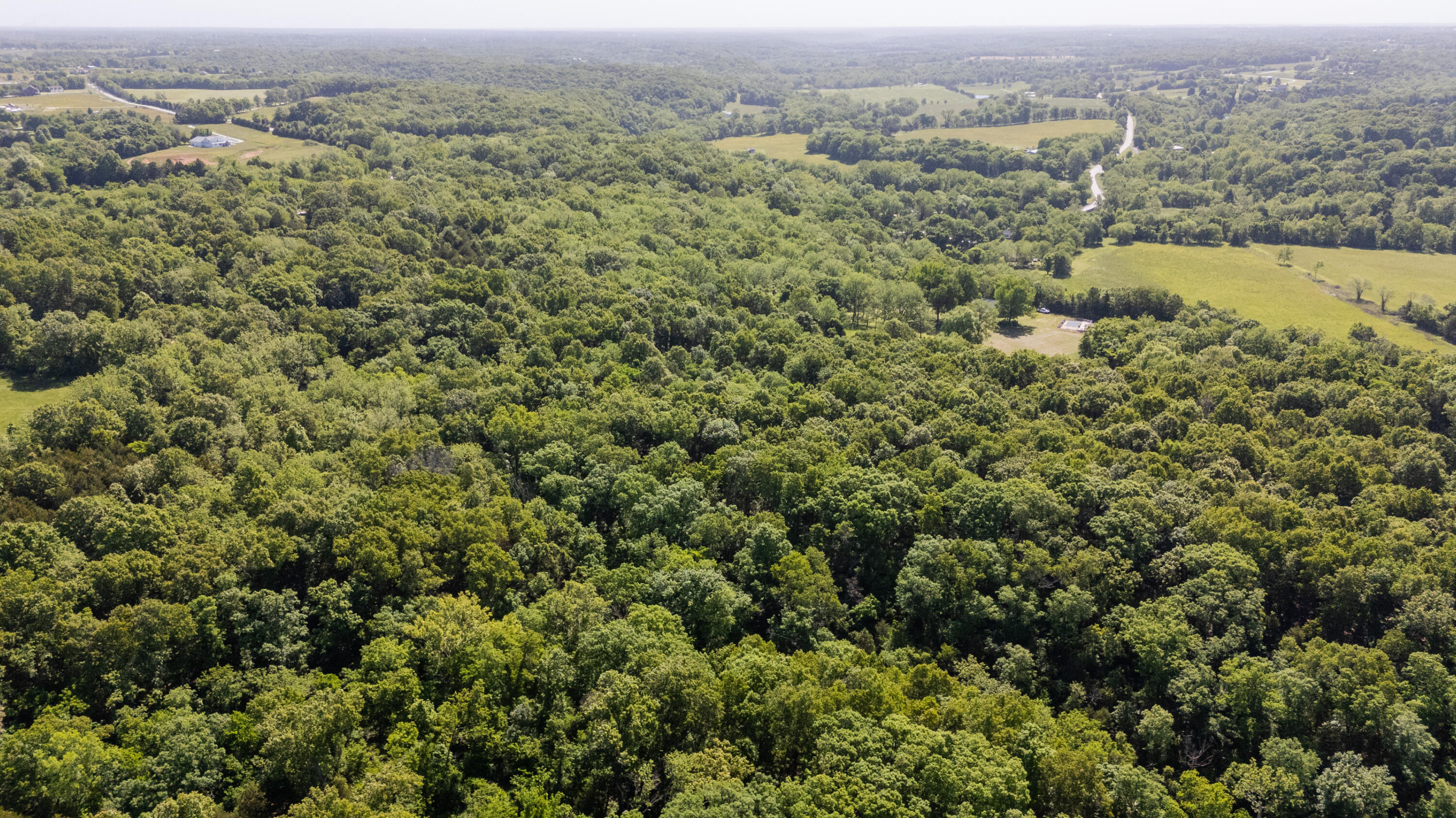 Photo 41 - Residential for sale – 000  Canyon Road Road  Ozark, MO
