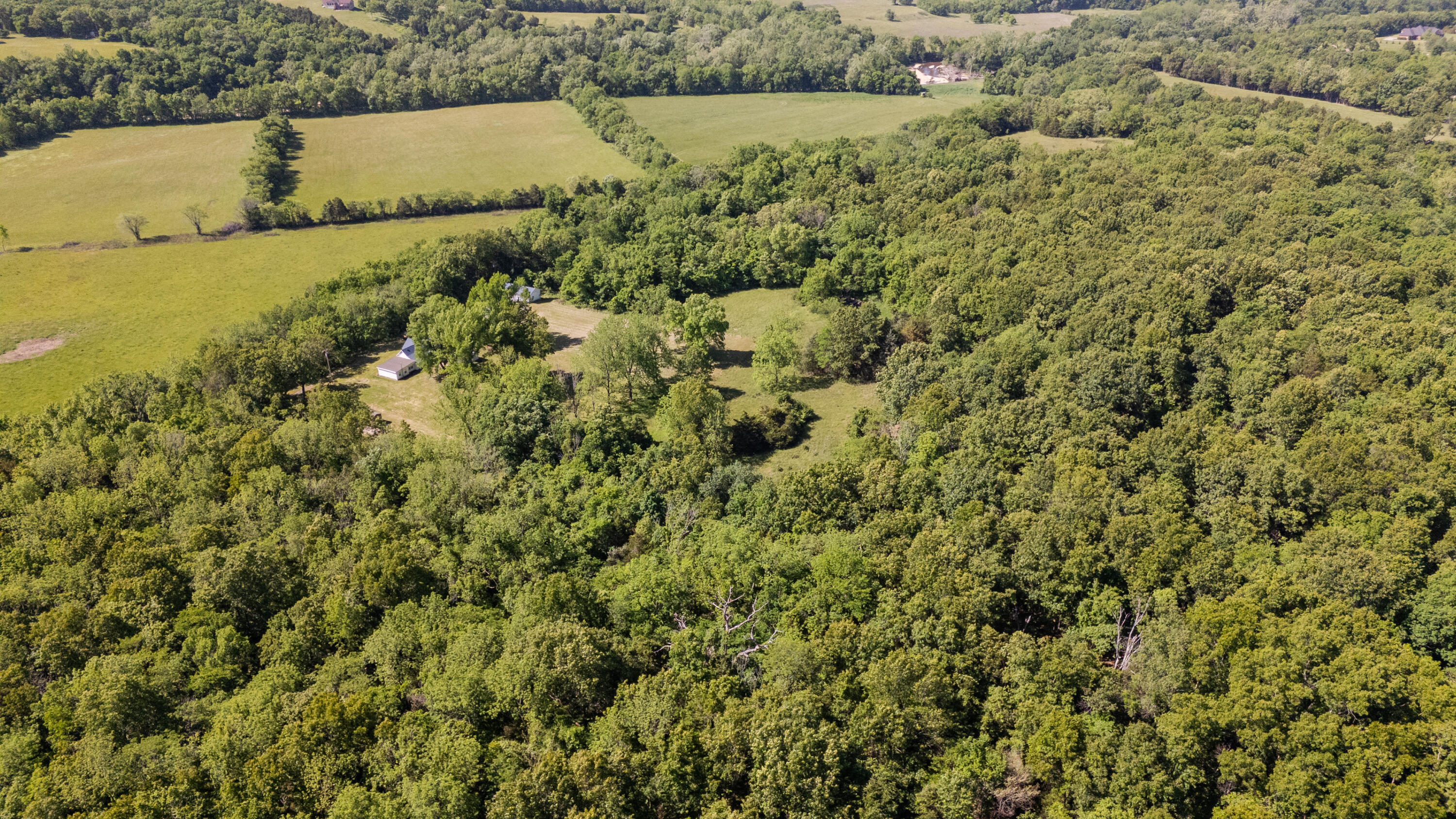 Photo 45 - Residential for sale – 000  Canyon Road Road  Ozark, MO