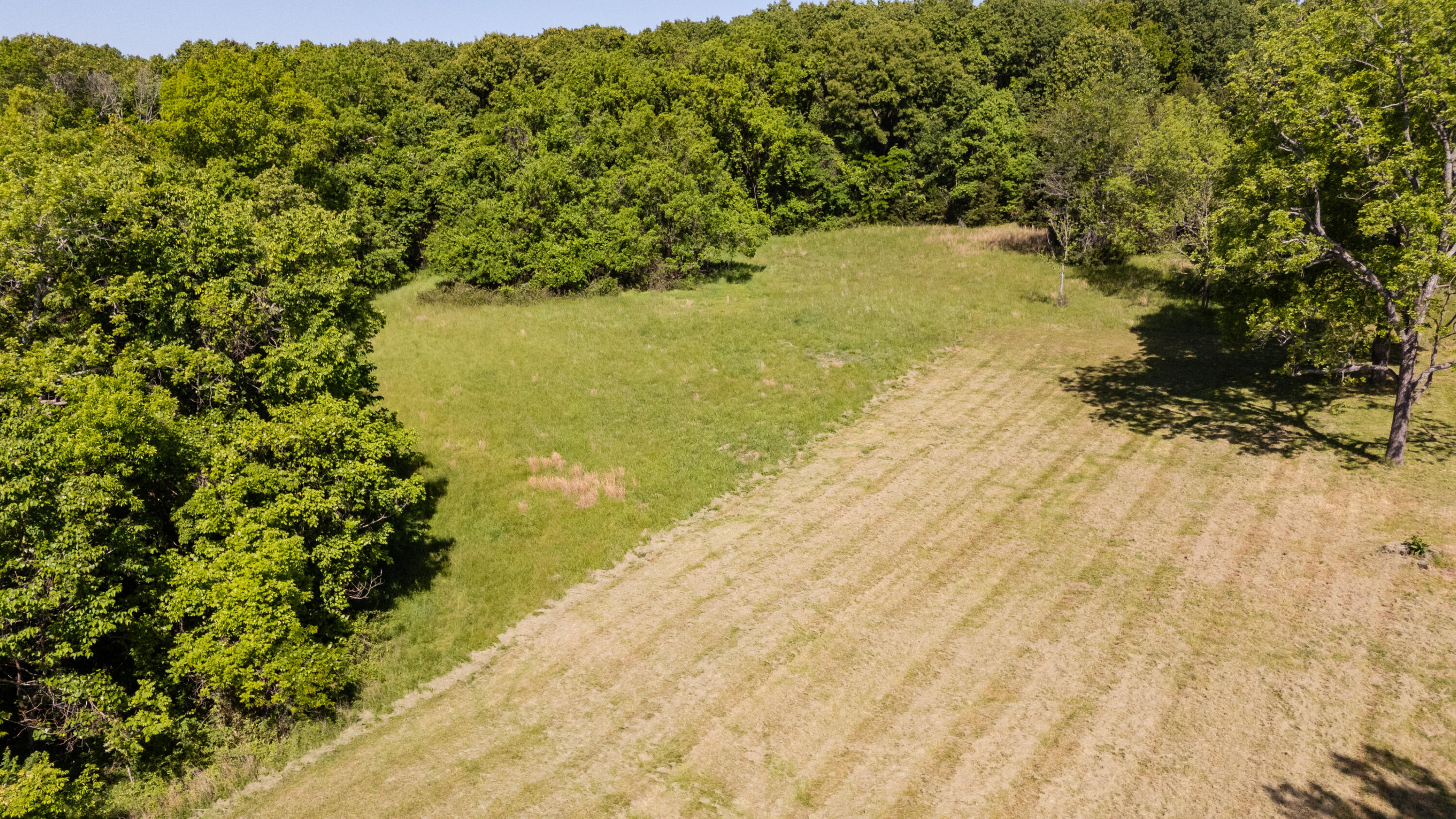 Photo 51 - Residential for sale – 000  Canyon Road Road  Ozark, MO