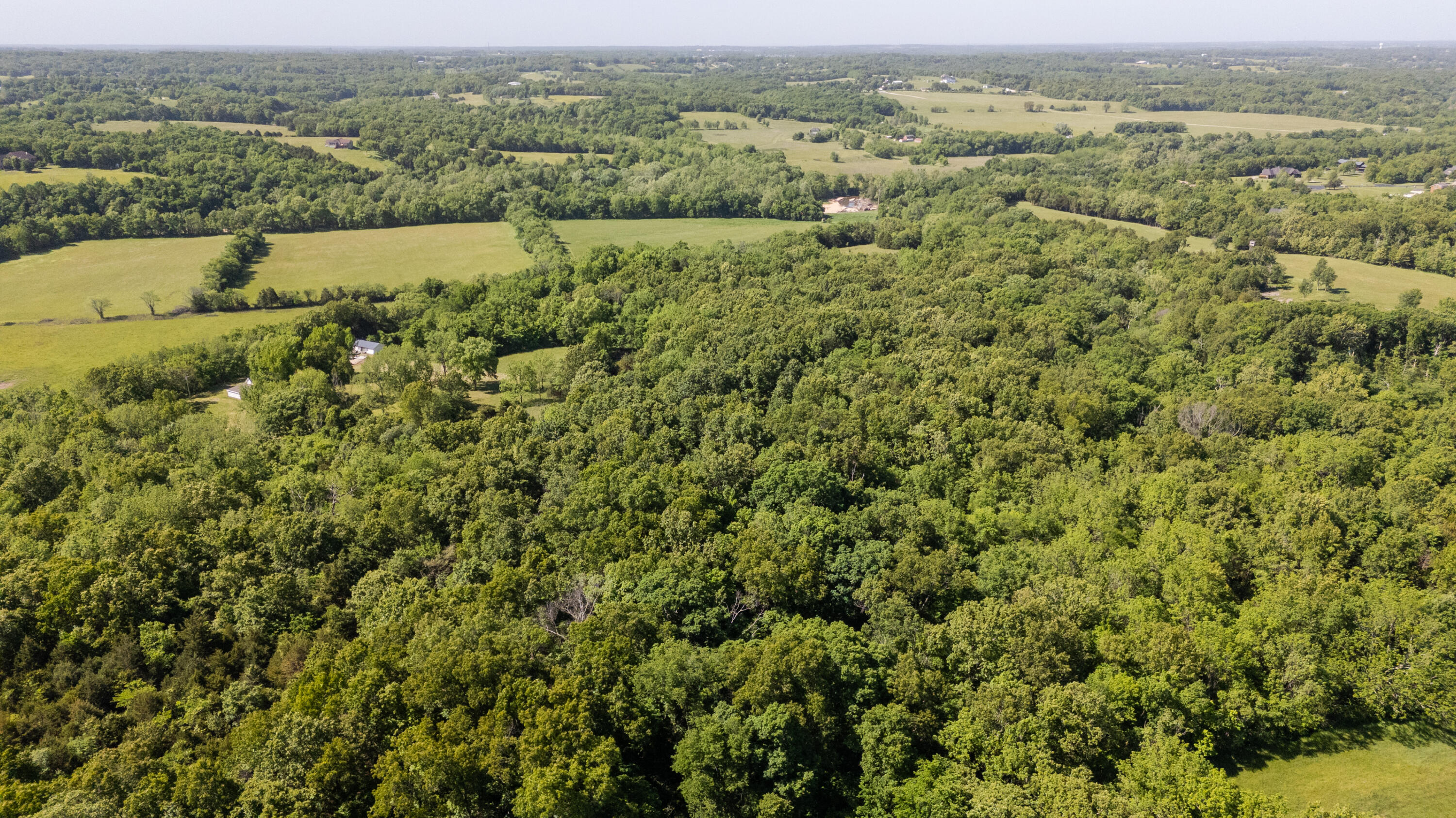 Photo 44 - Residential for sale – 000  Canyon Road Road  Ozark, MO