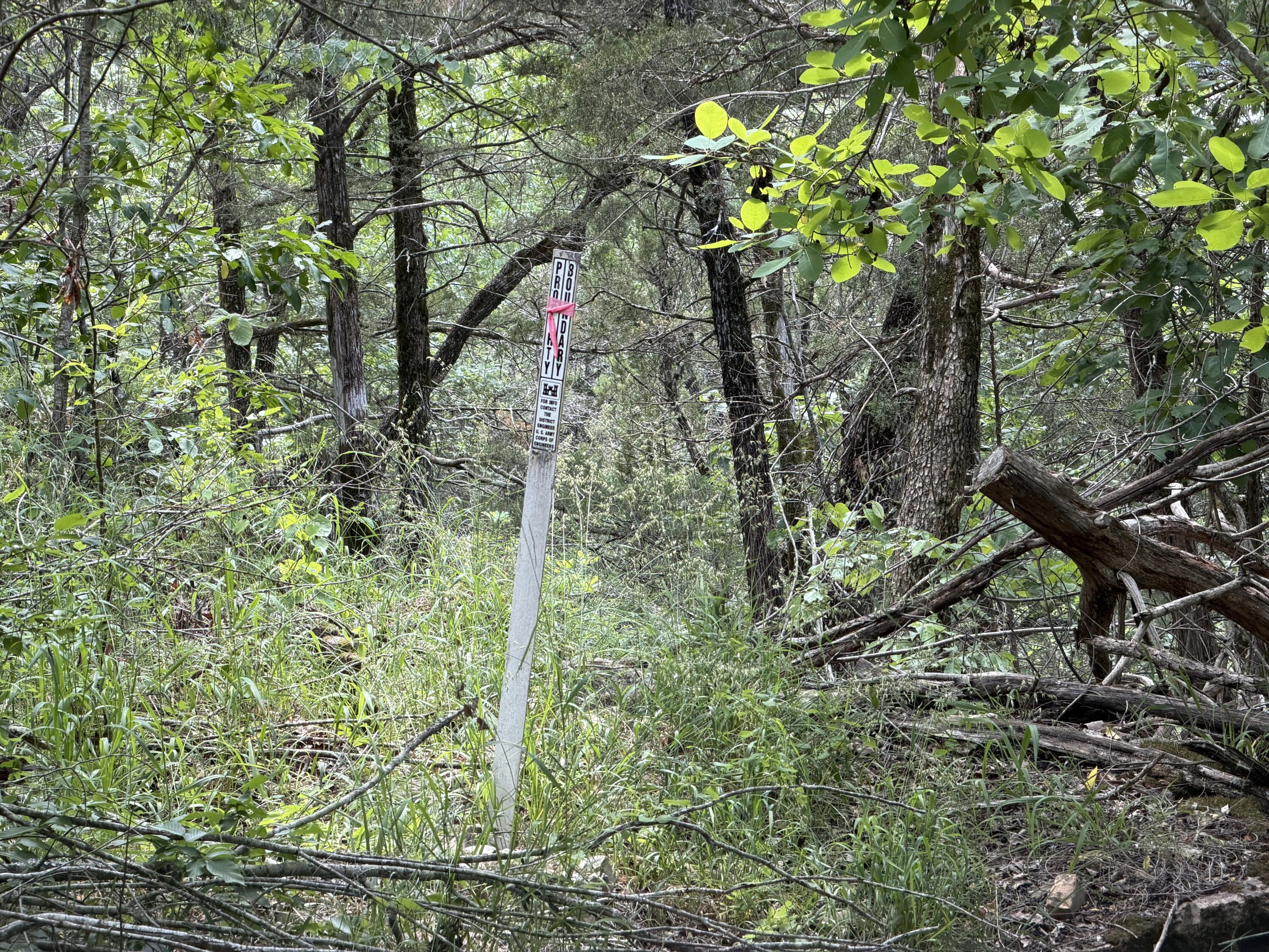 Photo 9 - Land for sale – 000  Moore Bend Road  Cedarcreek, MO