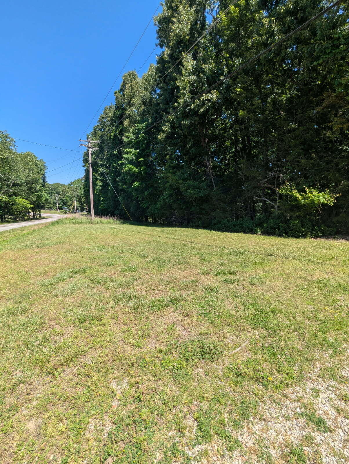 Photo 2 - Land for sale – 000  Fine Drive   Galena, MO