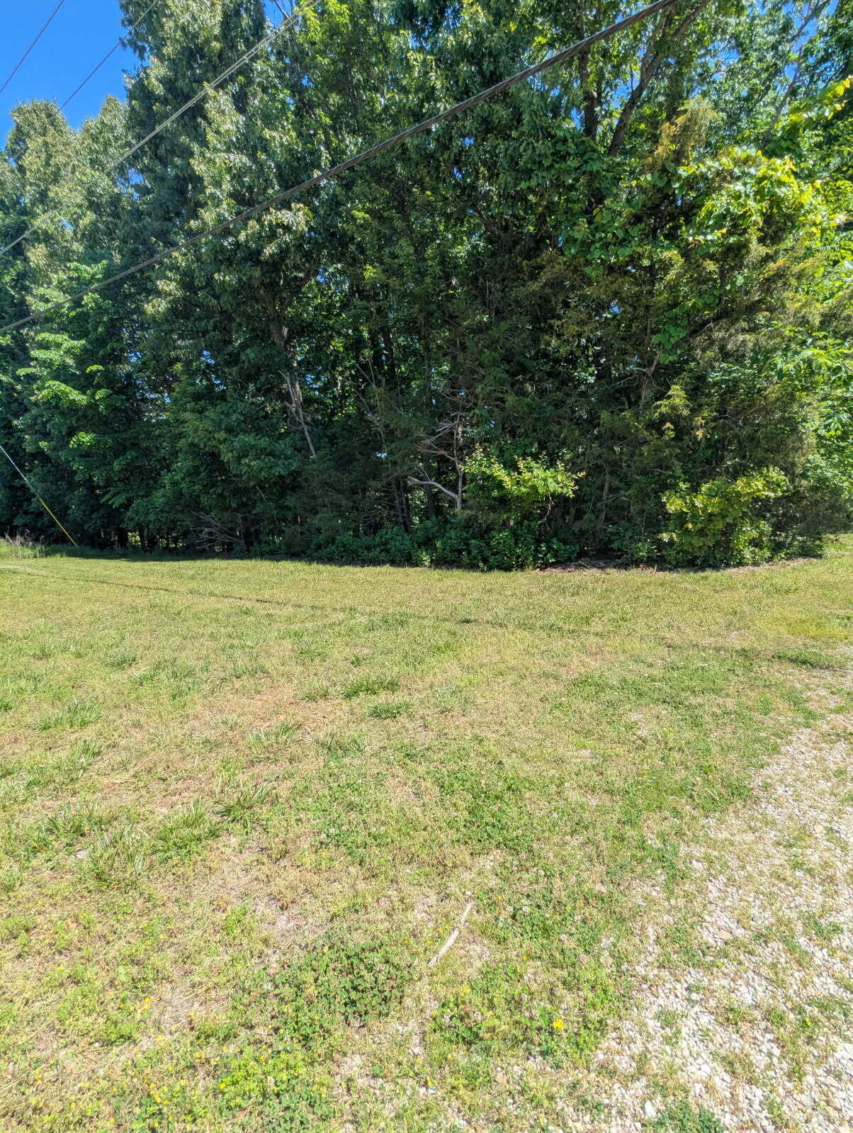 Photo 5 - Land for sale – 000  Fine Drive   Galena, MO