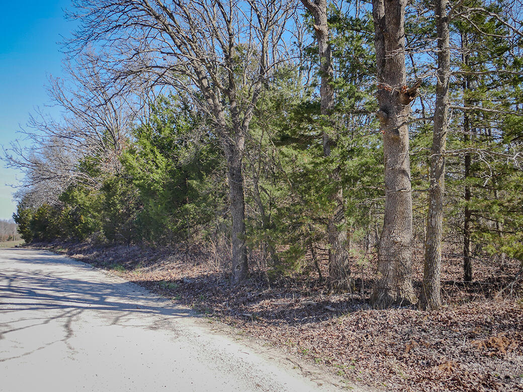 Photo 12 - Land for sale – 000  Simpson Road  Urbana, MO