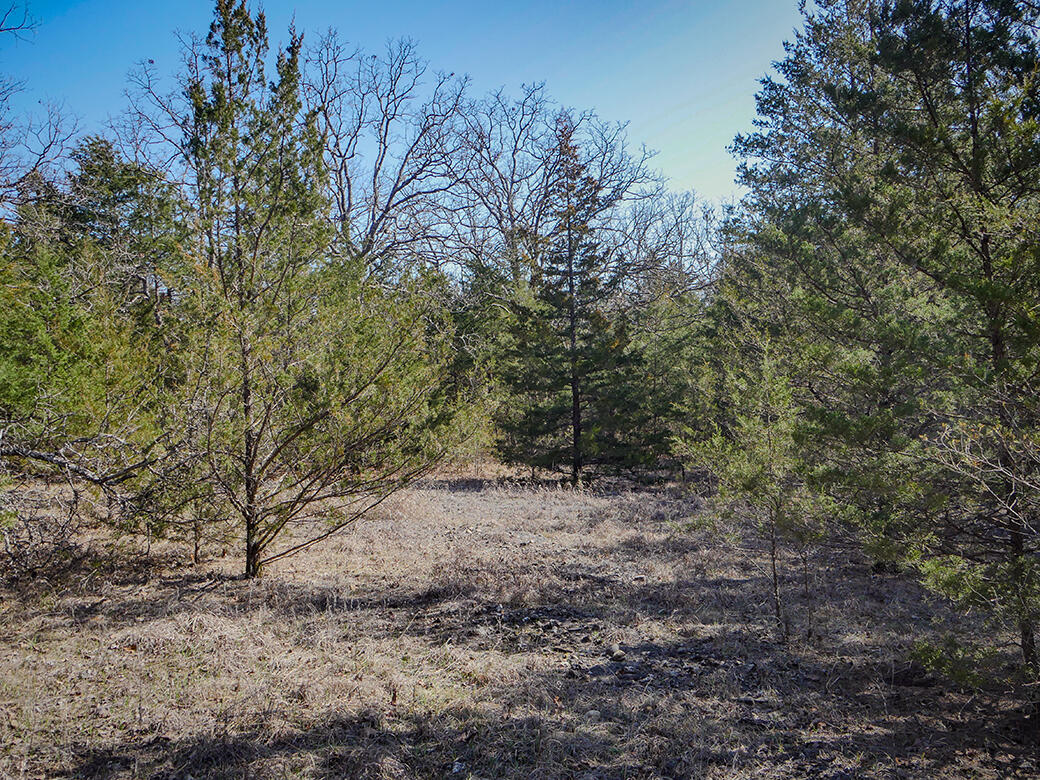 Photo 8 - Land for sale – 000  Simpson Road  Urbana, MO