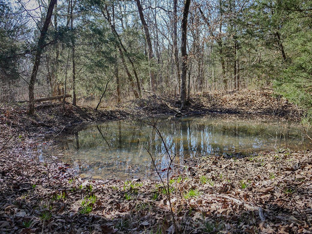 Photo 11 - Land for sale – 000  Simpson Road  Urbana, MO