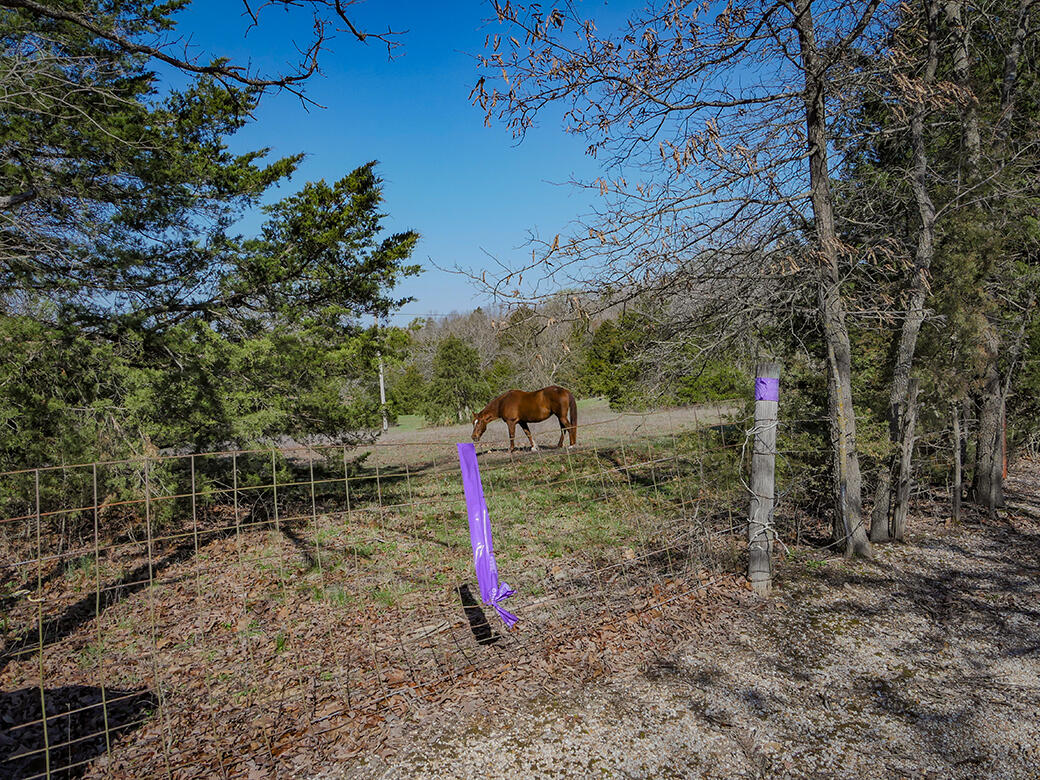 Photo 3 - Land for sale – 000  Simpson Road  Urbana, MO