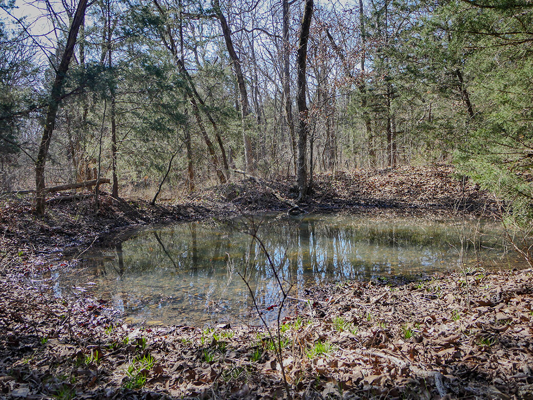 Photo 15 - Land for sale – 000  Simpson Road  Urbana, MO