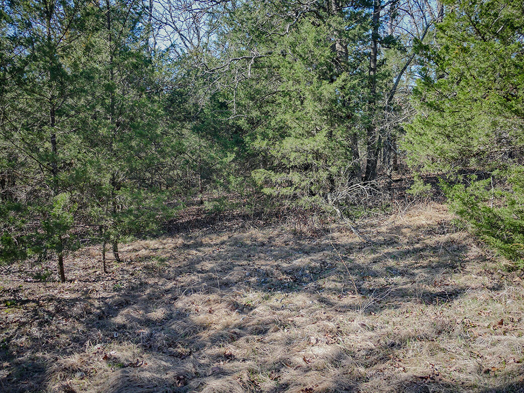 Photo 10 - Land for sale – 000  Simpson Road  Urbana, MO