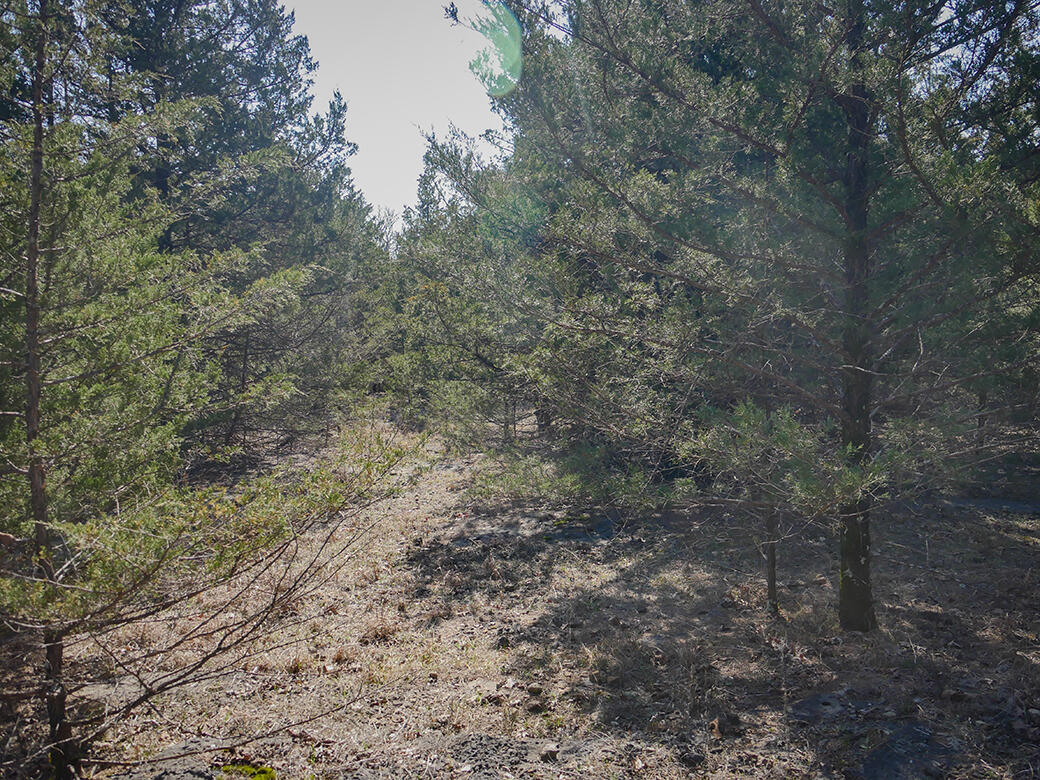 Photo 9 - Land for sale – 000  Simpson Road  Urbana, MO