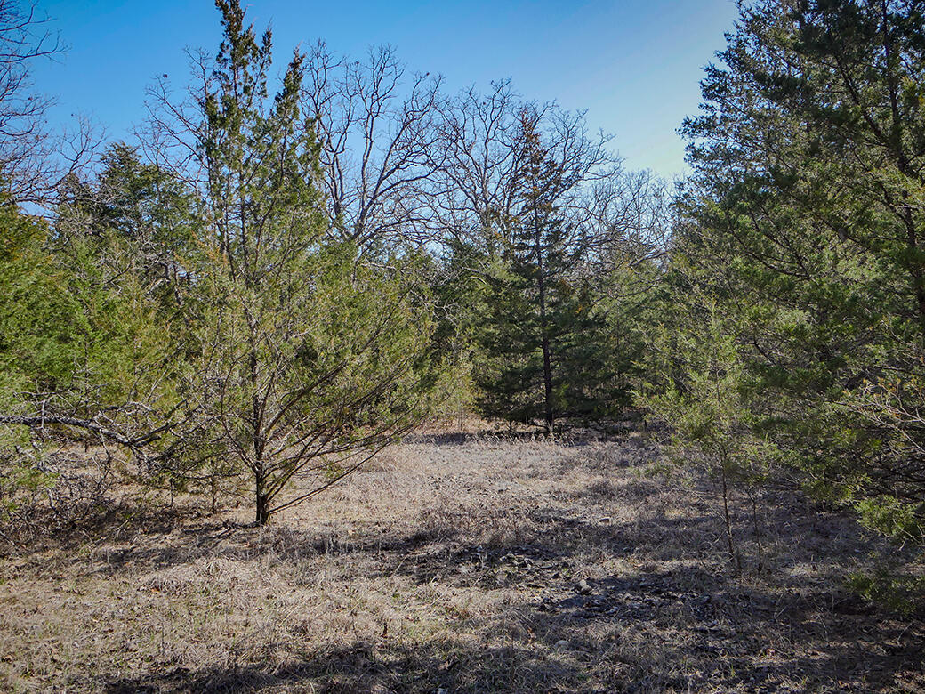 Photo 6 - Land for sale – 000  Simpson Road  Urbana, MO