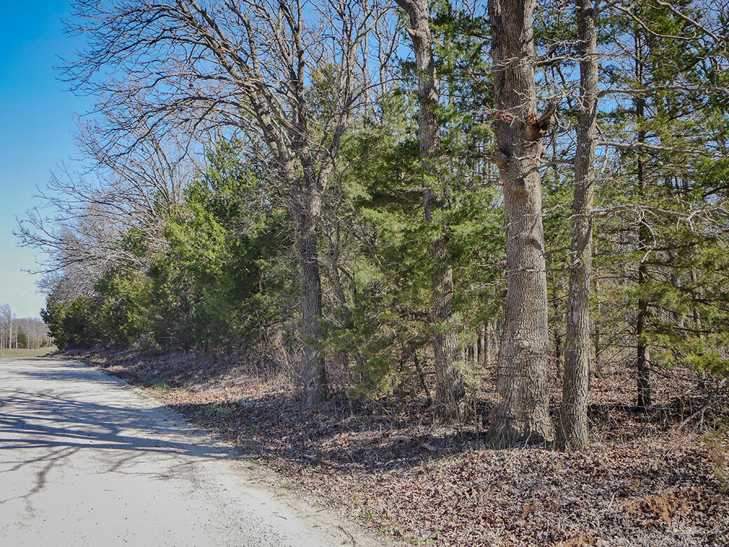 Photo 13 - Land for sale – 000  Simpson Road  Urbana, MO