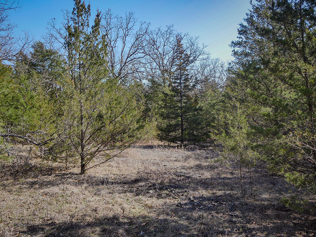 Photo 7 - Land for sale – 000  Simpson Road  Urbana, MO