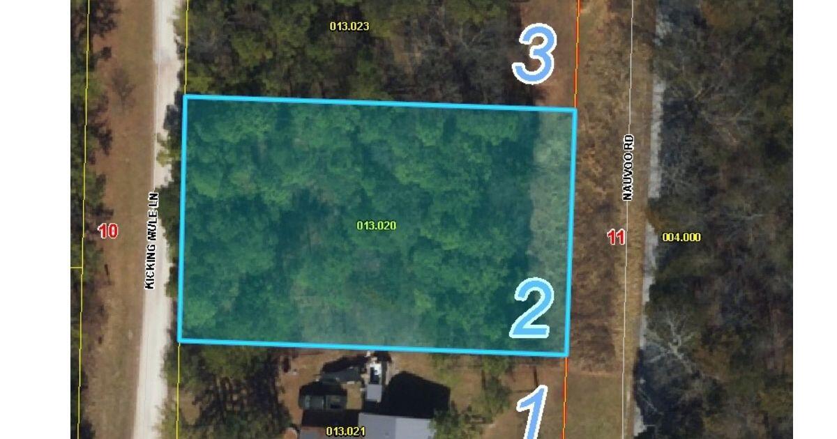 Photo 3 - Land for sale – 000  Kicking Mule   Lampe, MO