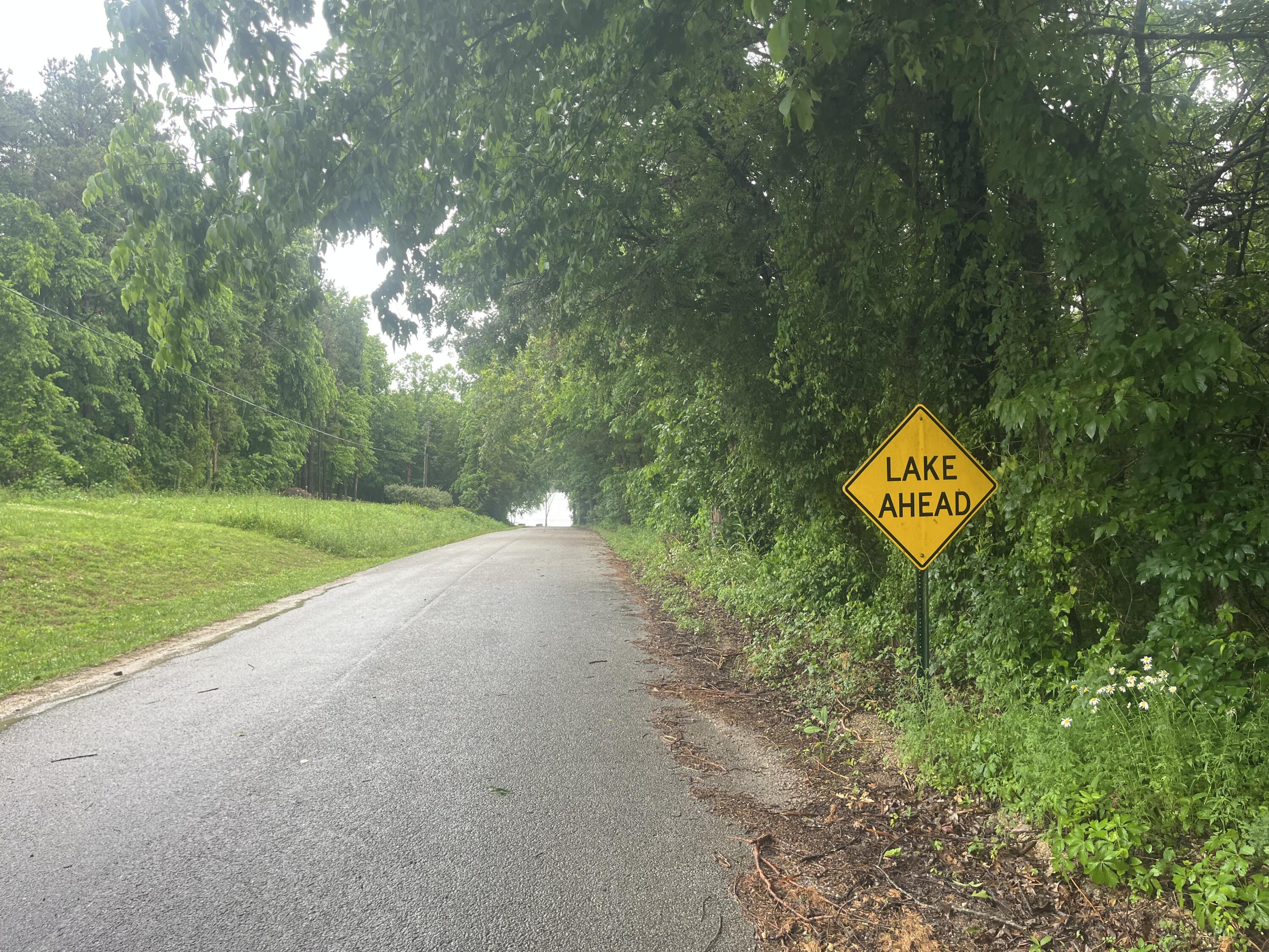 Photo 8 - Land for sale – 000  Kicking Mule   Lampe, MO