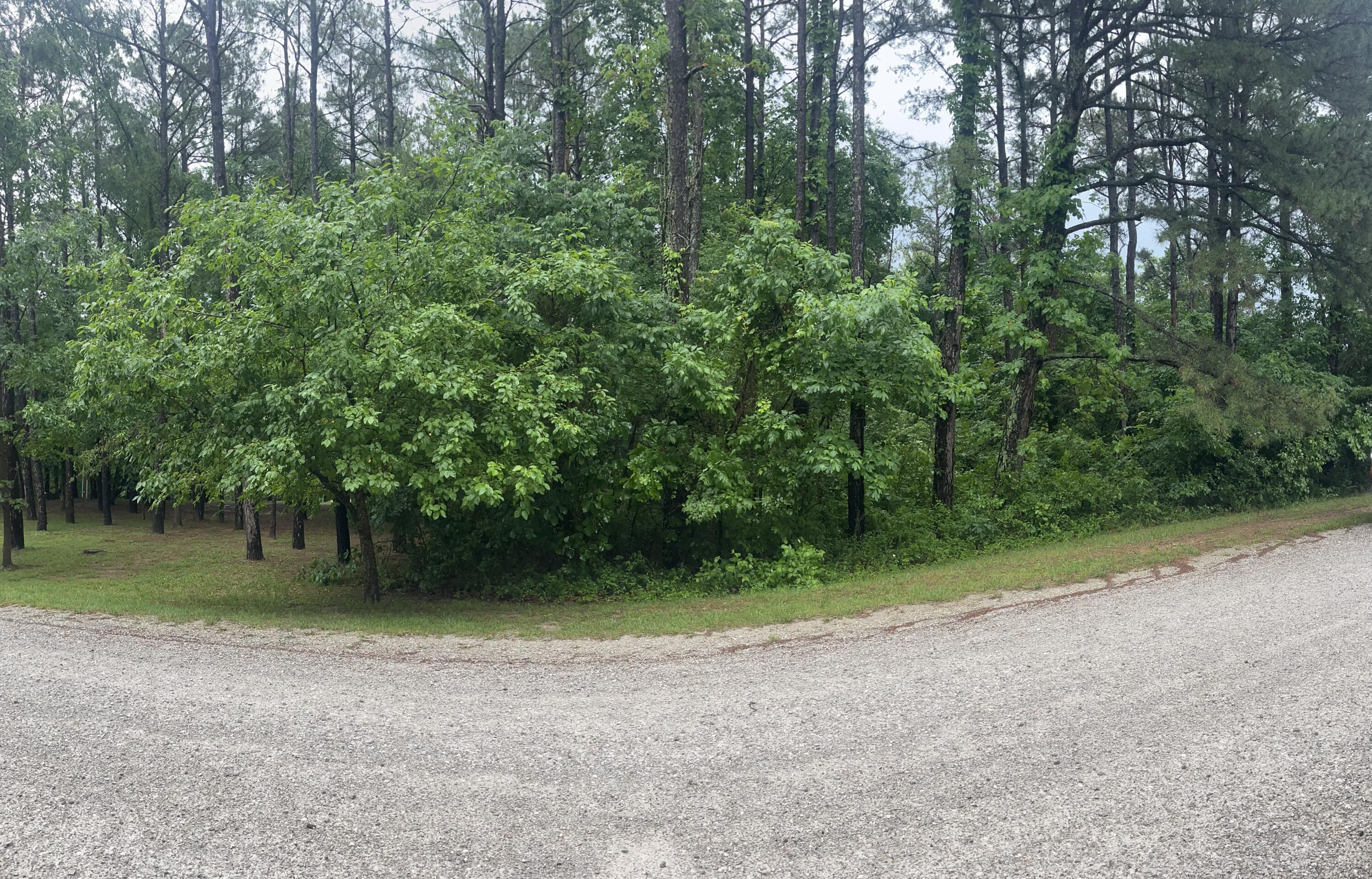 Photo 6 - Land for sale – 000  Kicking Mule   Lampe, MO