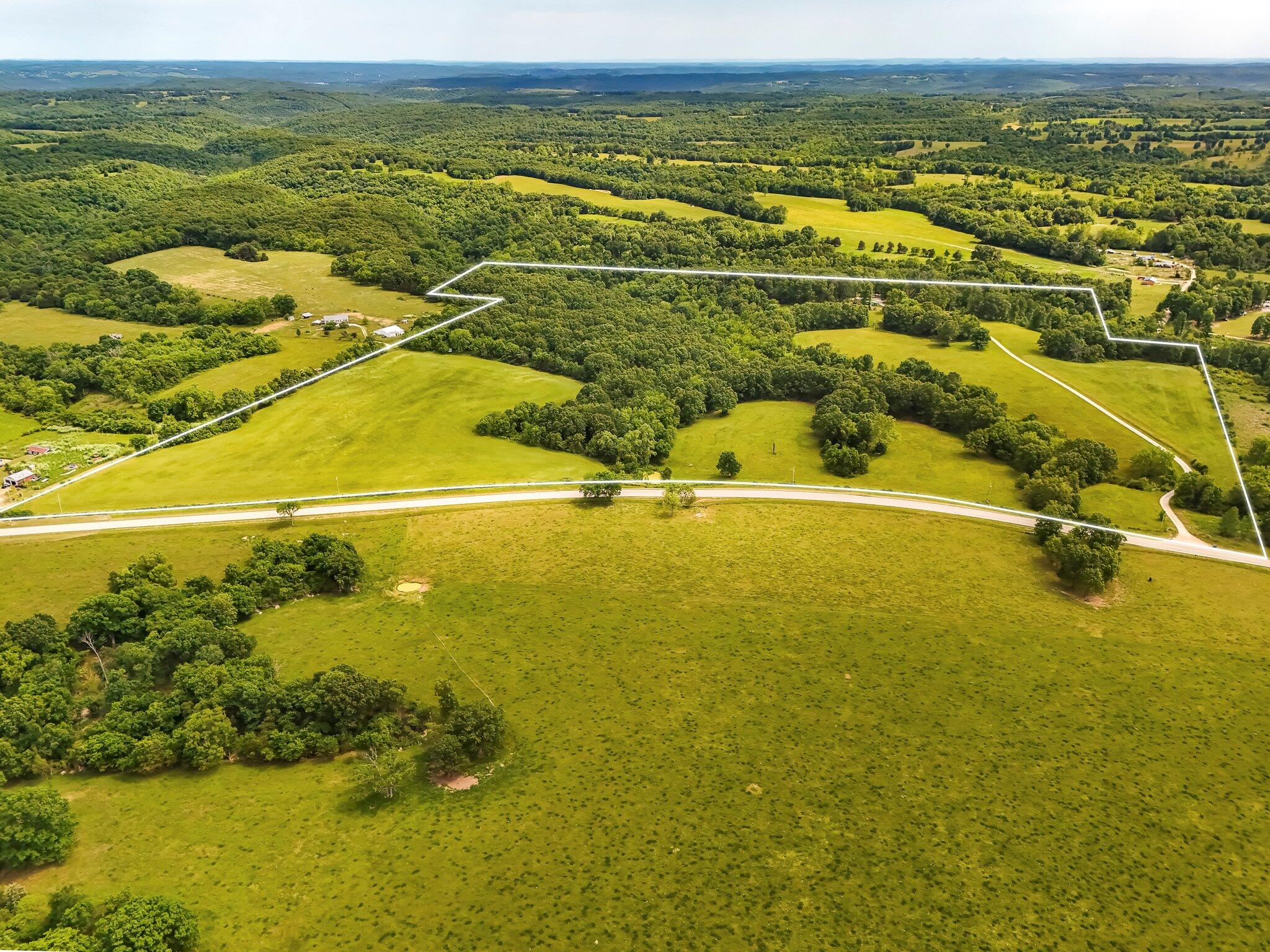 Photo 4 - Residential for sale – 8490 W State Highway 248   Galena, MO
