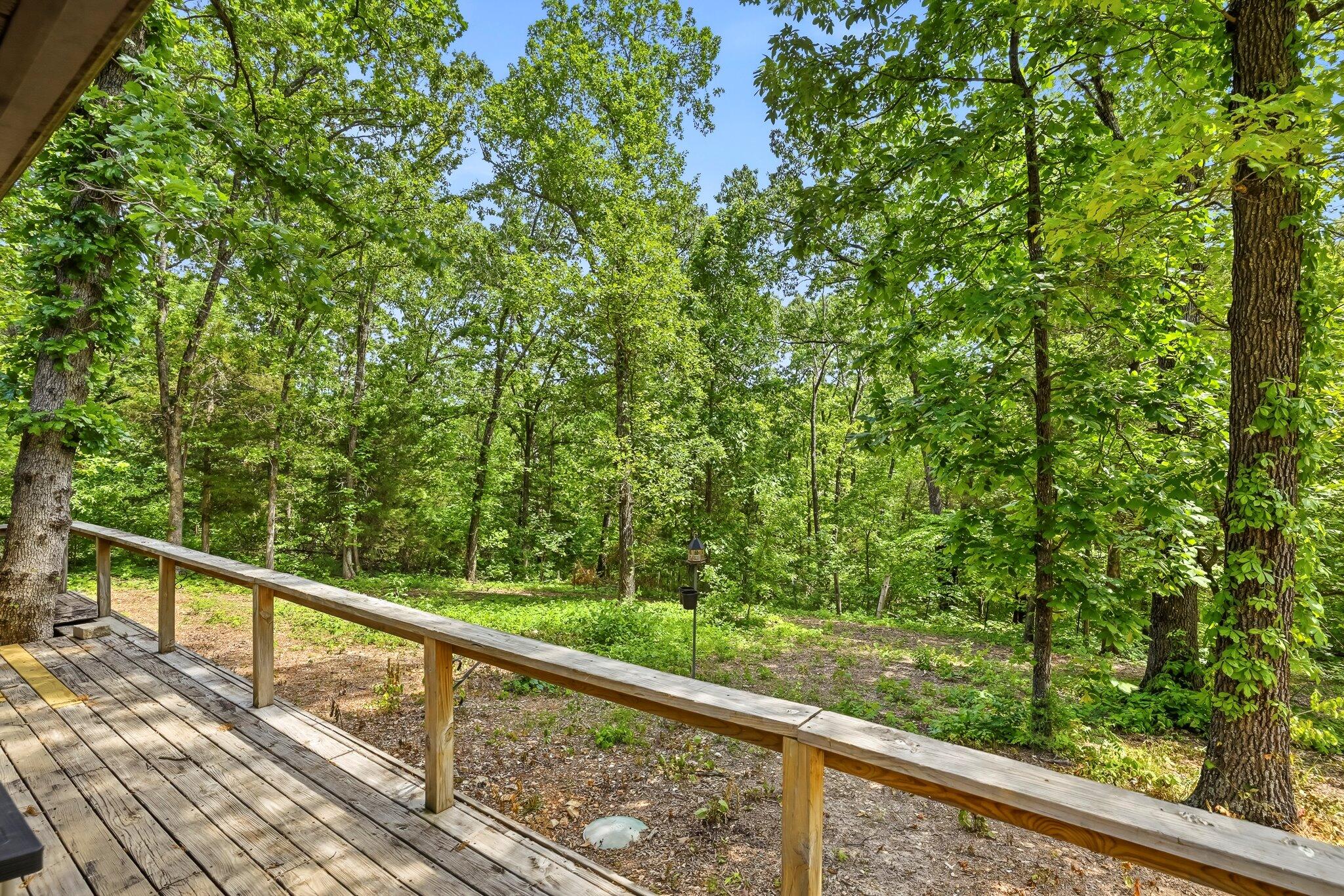 Photo 52 - Residential for sale – 8490 W State Highway 248   Galena, MO