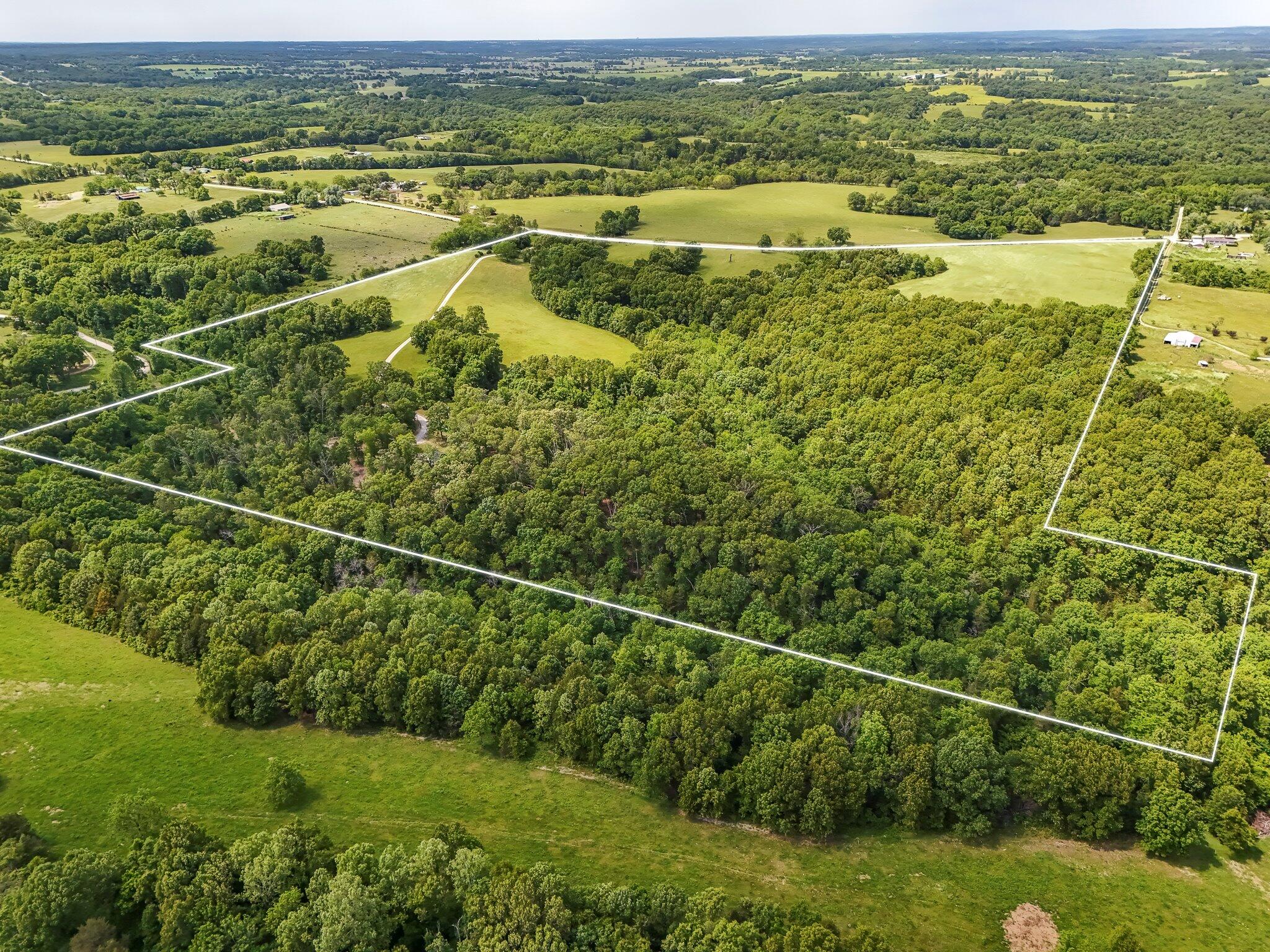 Photo 57 - Residential for sale – 8490 W State Highway 248   Galena, MO