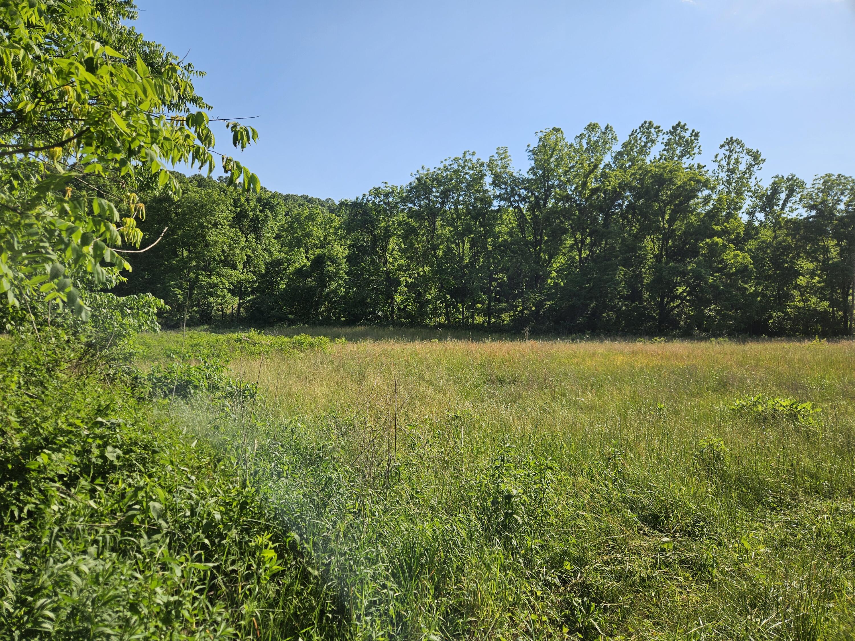 Photo 15 - Land for sale – 2670  County Road 132   Wasola, MO