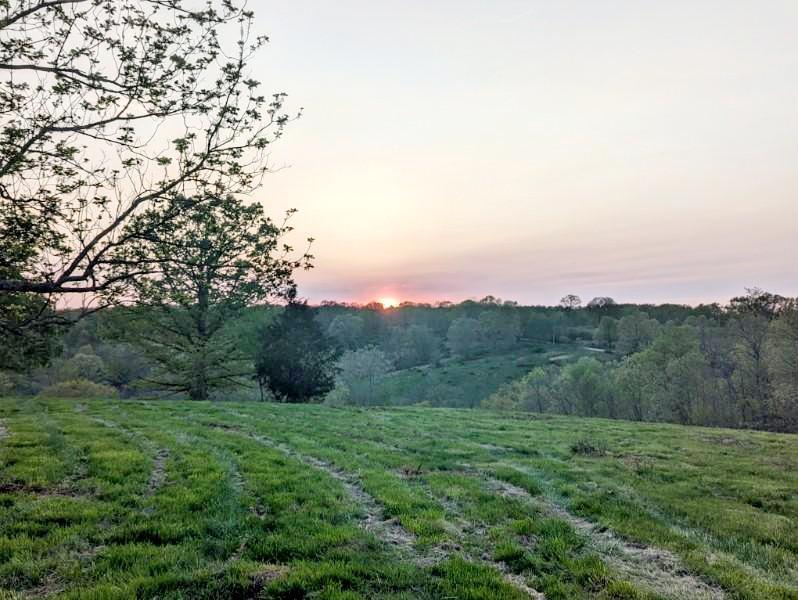 Photo 13 - Land for sale – 2670  County Road 132   Wasola, MO