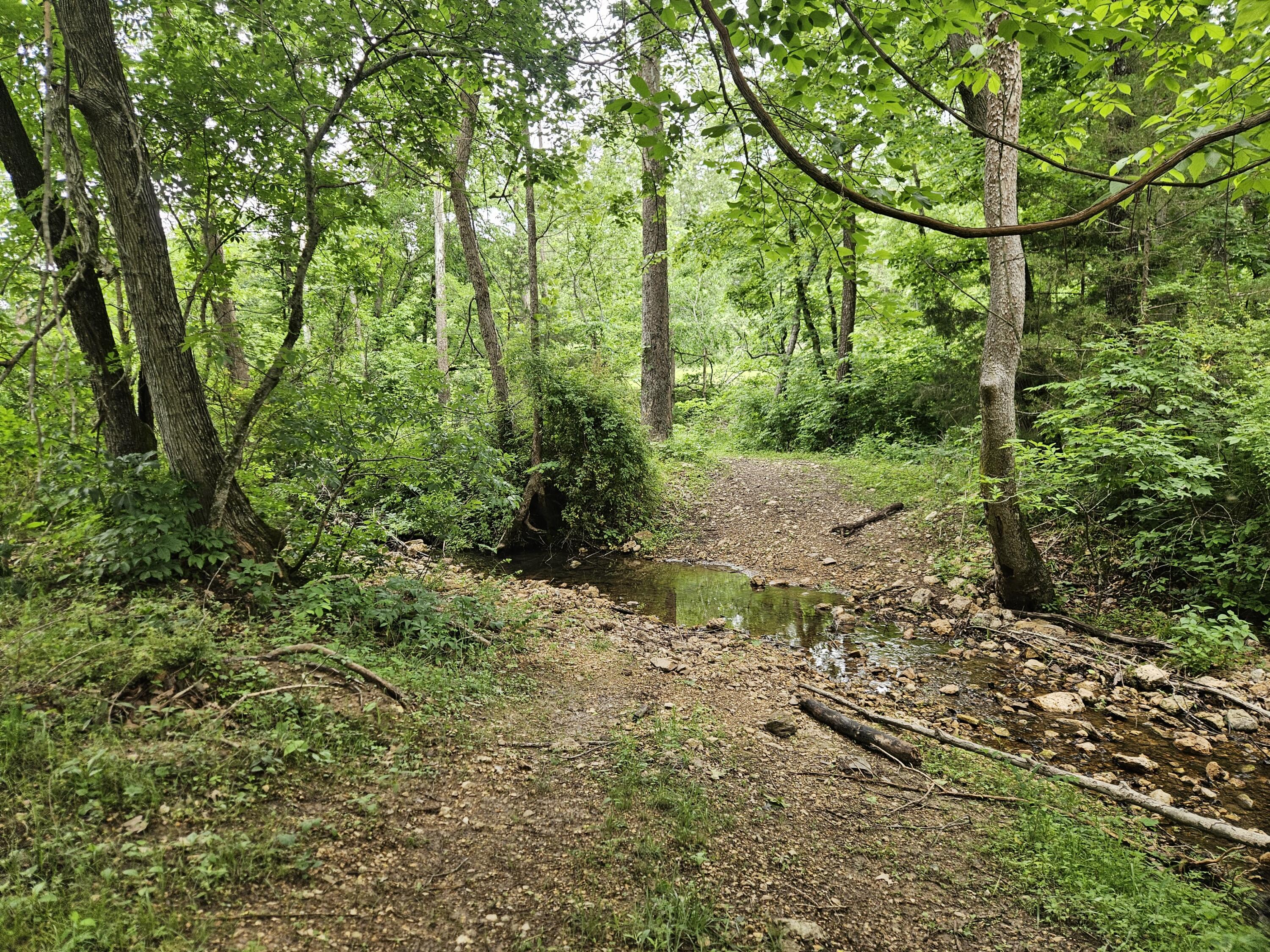 Photo 19 - Land for sale – 2670  County Road 132   Wasola, MO