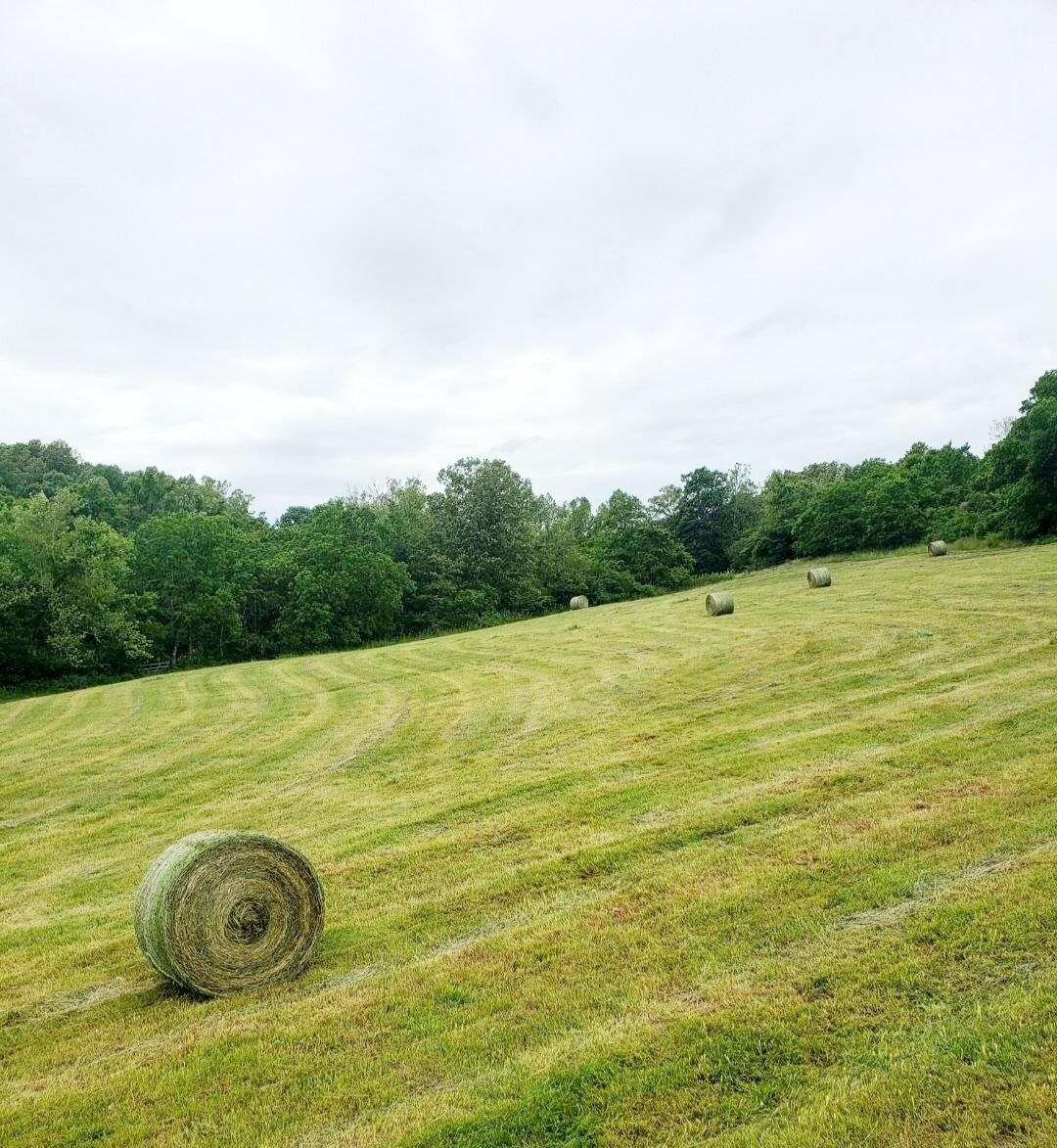 Photo 4 - Land for sale – 2670  County Road 132   Wasola, MO