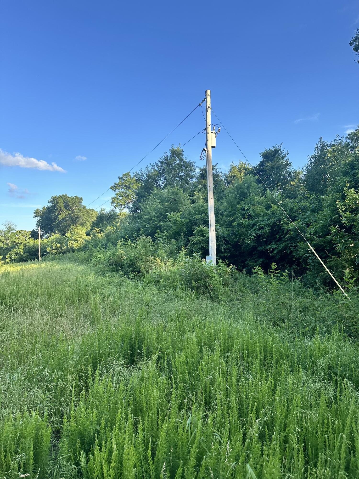 Photo 5 - Land for sale – 14188  County Road 195   Wheatland, MO