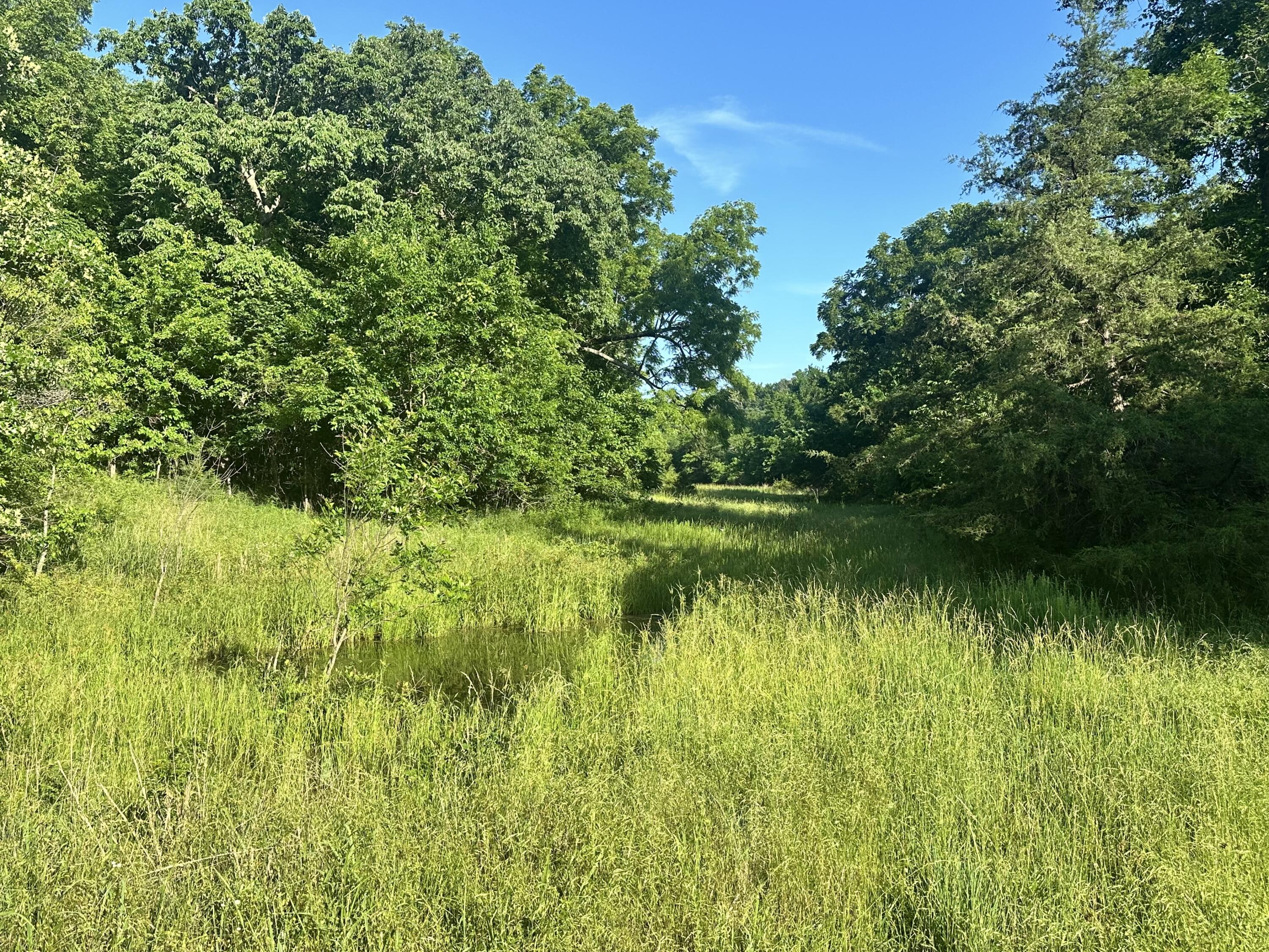 Photo 17 - Land for sale – 14188  County Road 195   Wheatland, MO