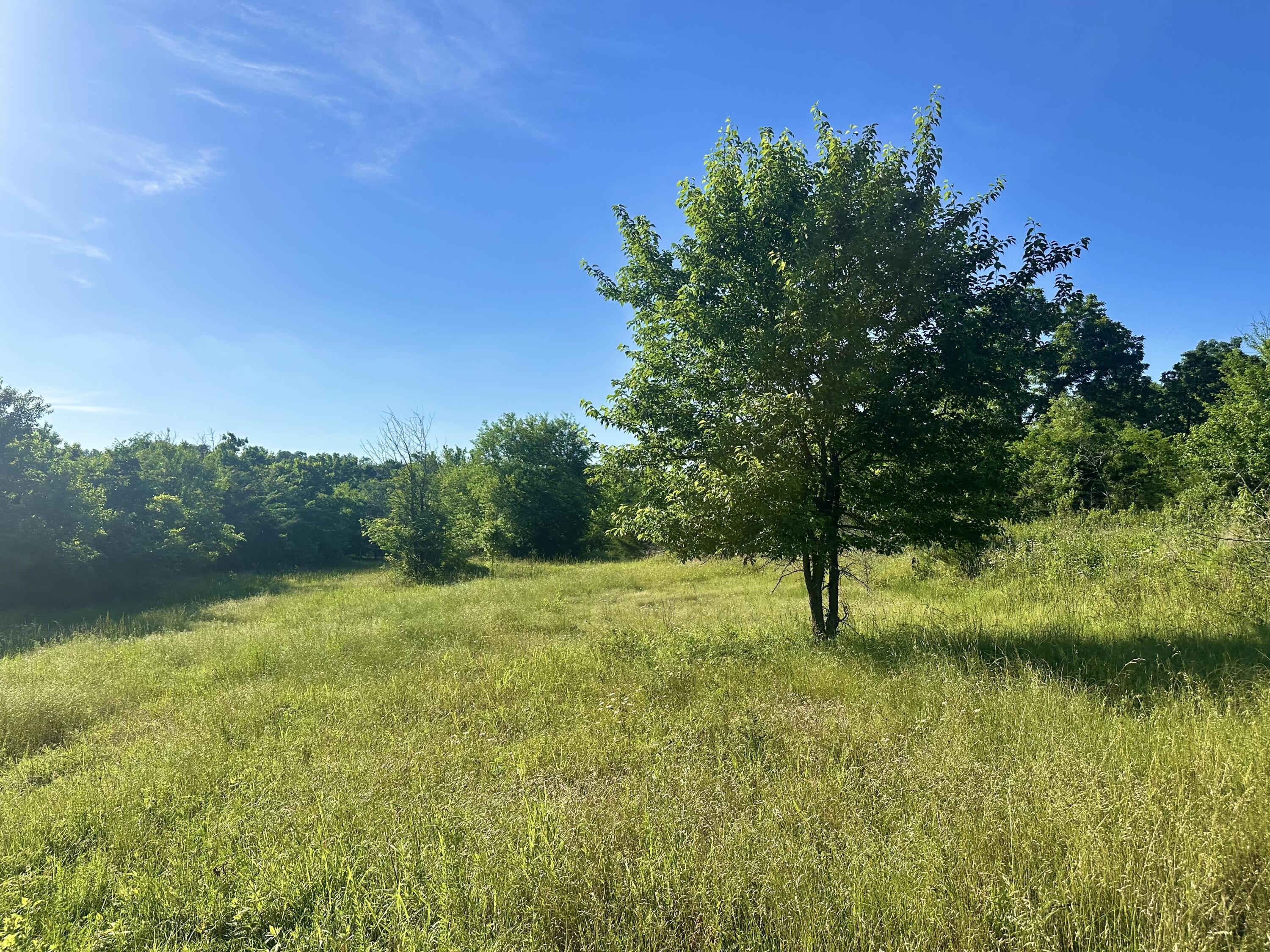Photo 14 - Land for sale – 14188  County Road 195   Wheatland, MO